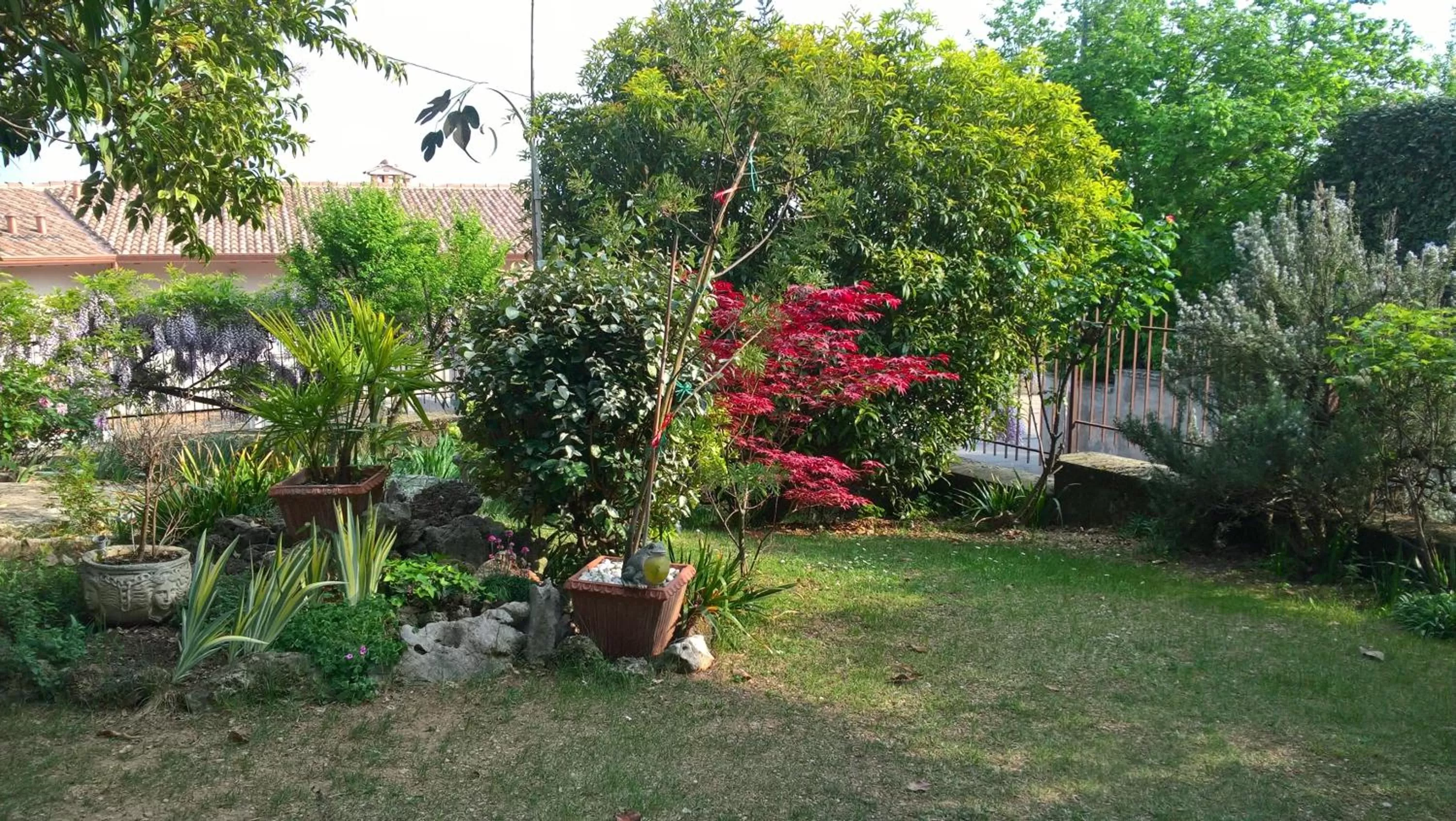 Garden in B&B Il Glicine