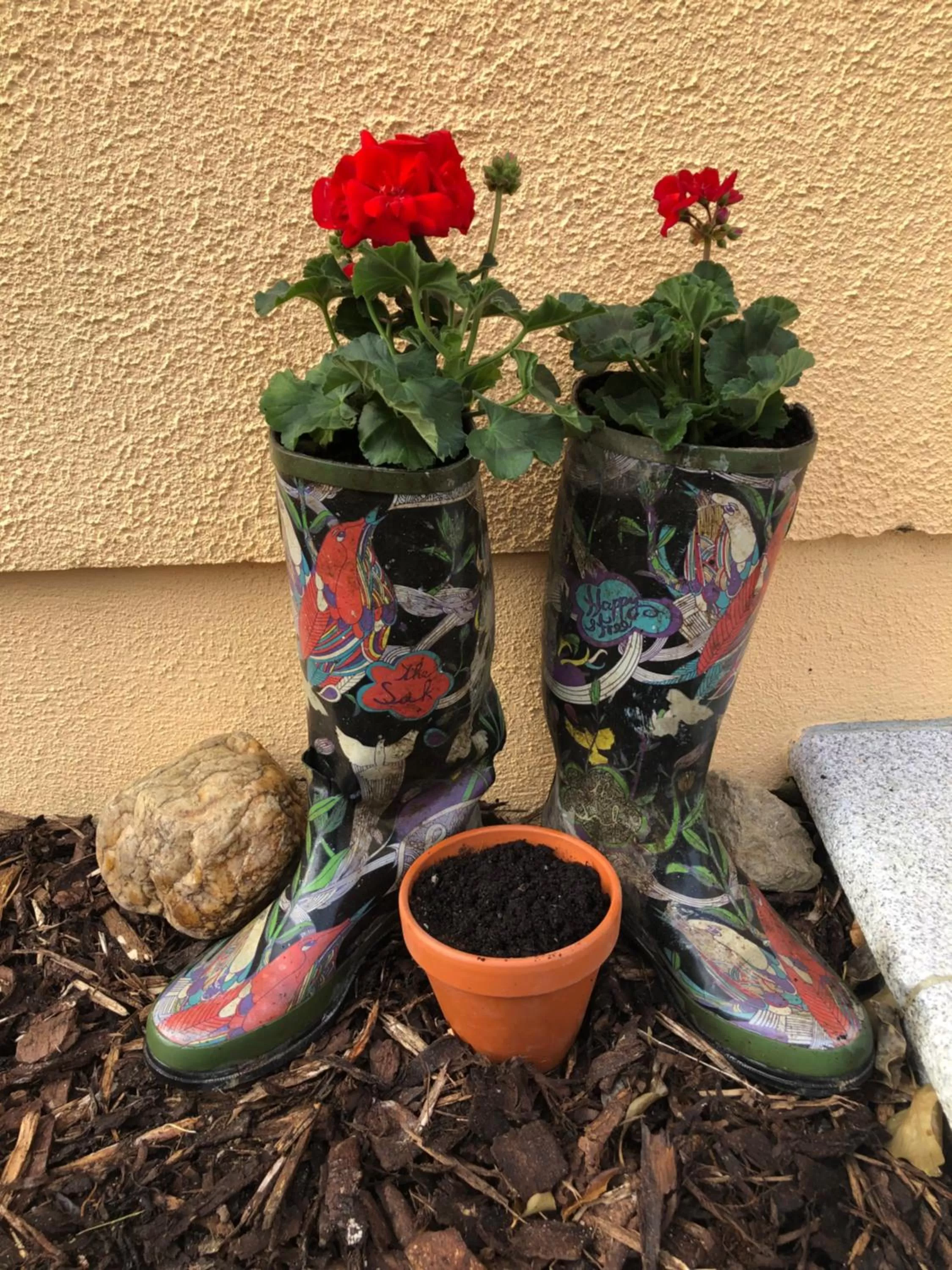 Day, Food in 5-star B&B and Historical Cottage "Mon Petit Cottage"