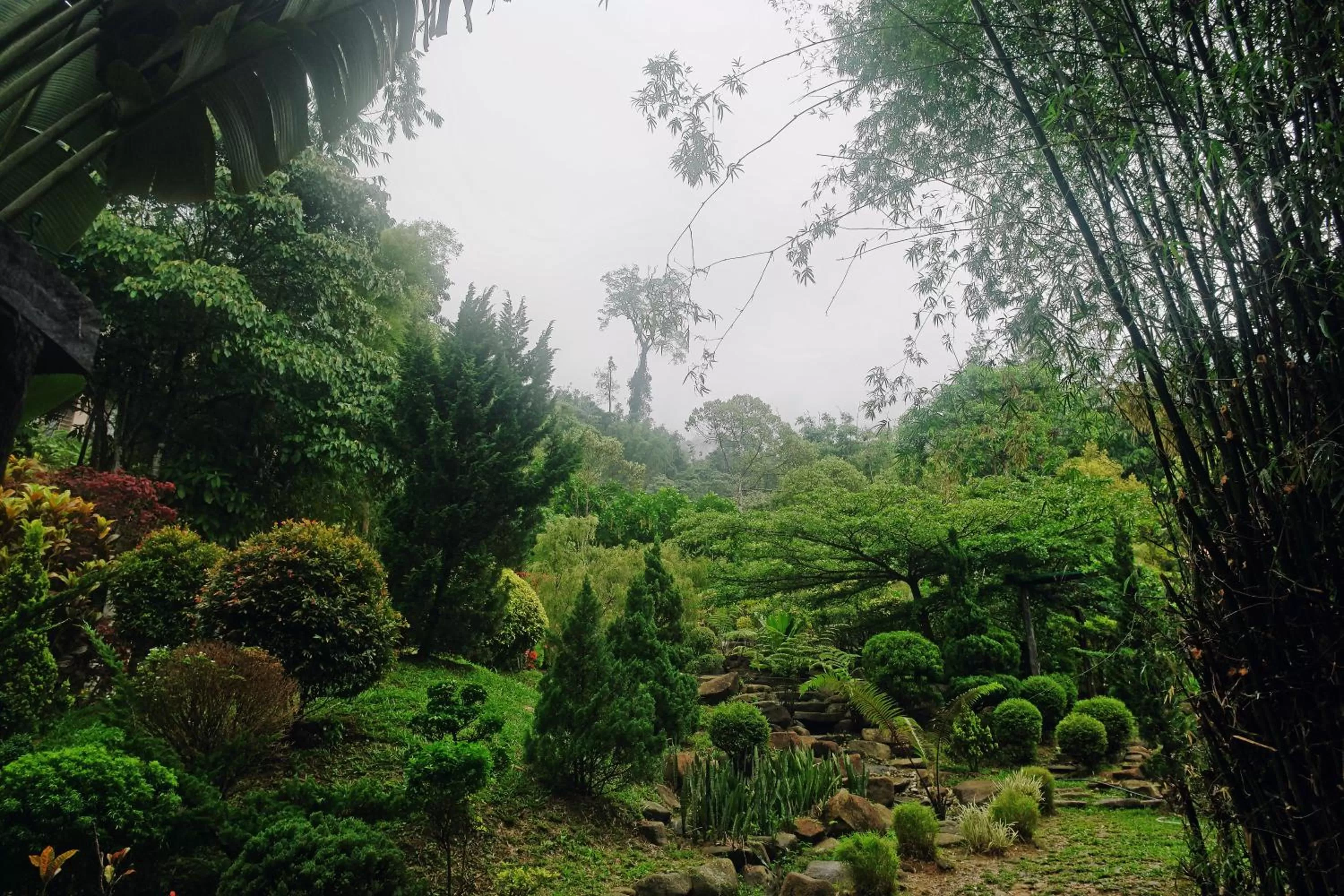 Other in Harmony Valley Retreat