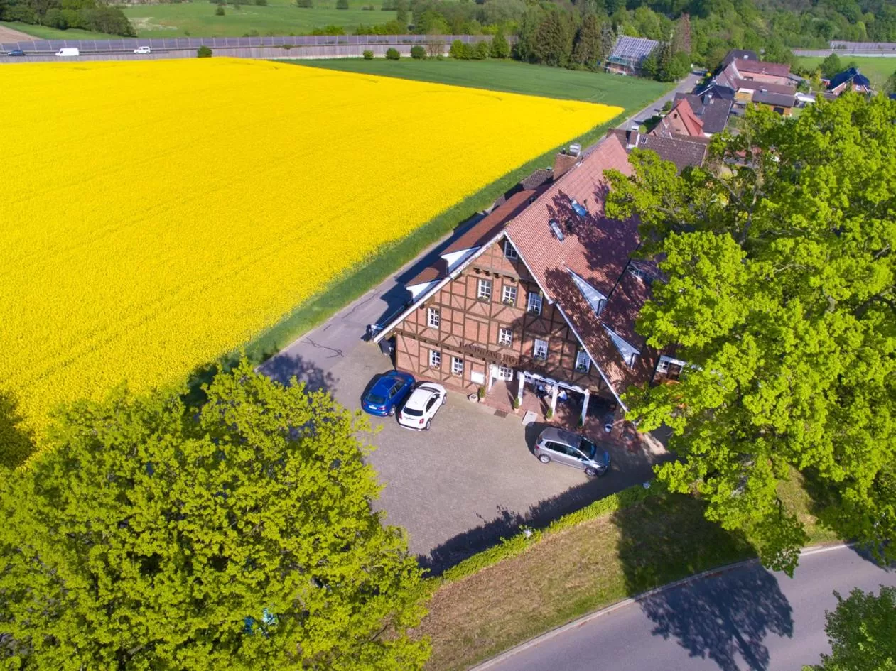 Bird's eye view in Landhaus Nütschau