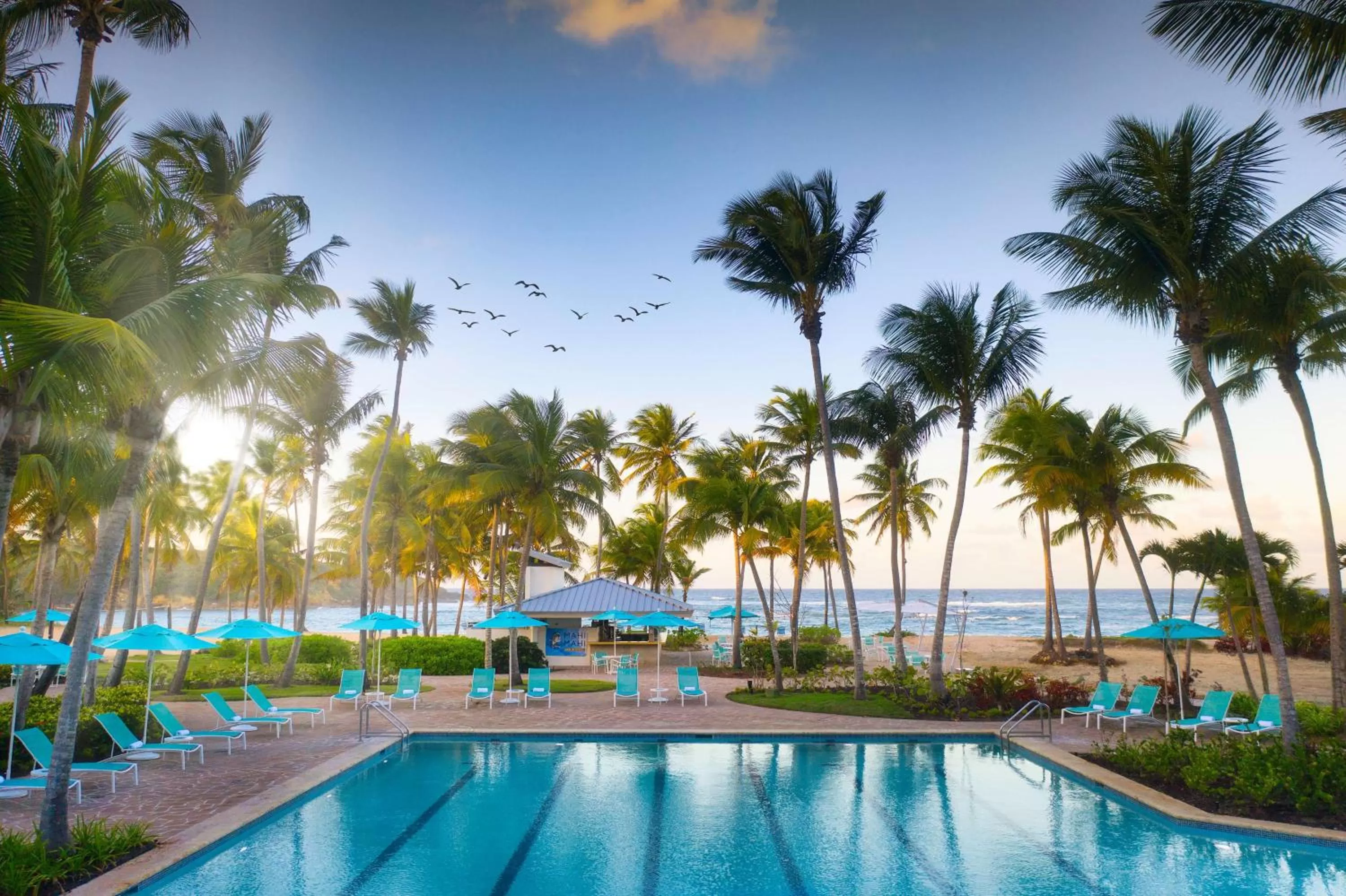 Day in Hyatt Vacation Club at Hacienda del Mar