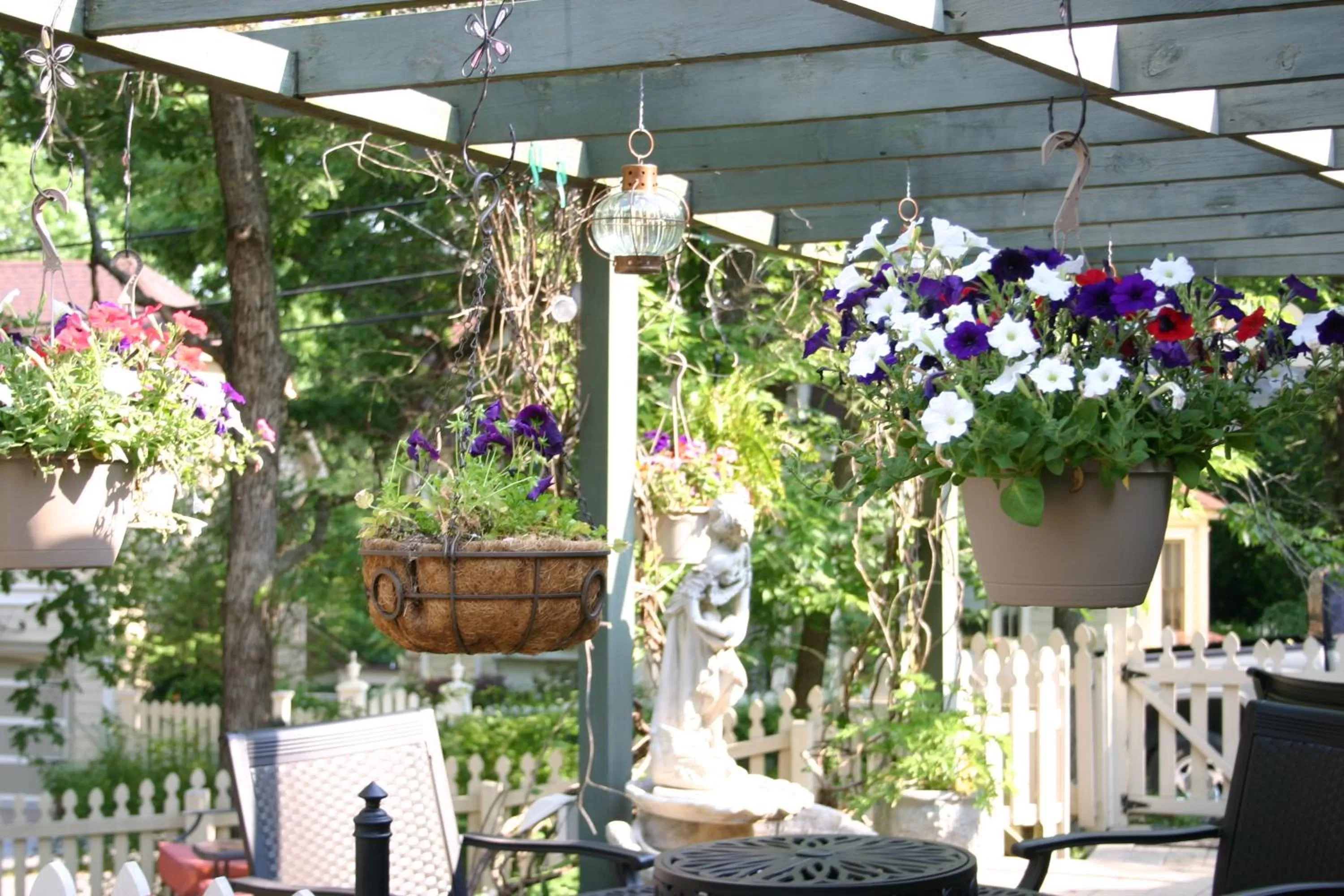 Garden in Rock Cottage Gardens B&B