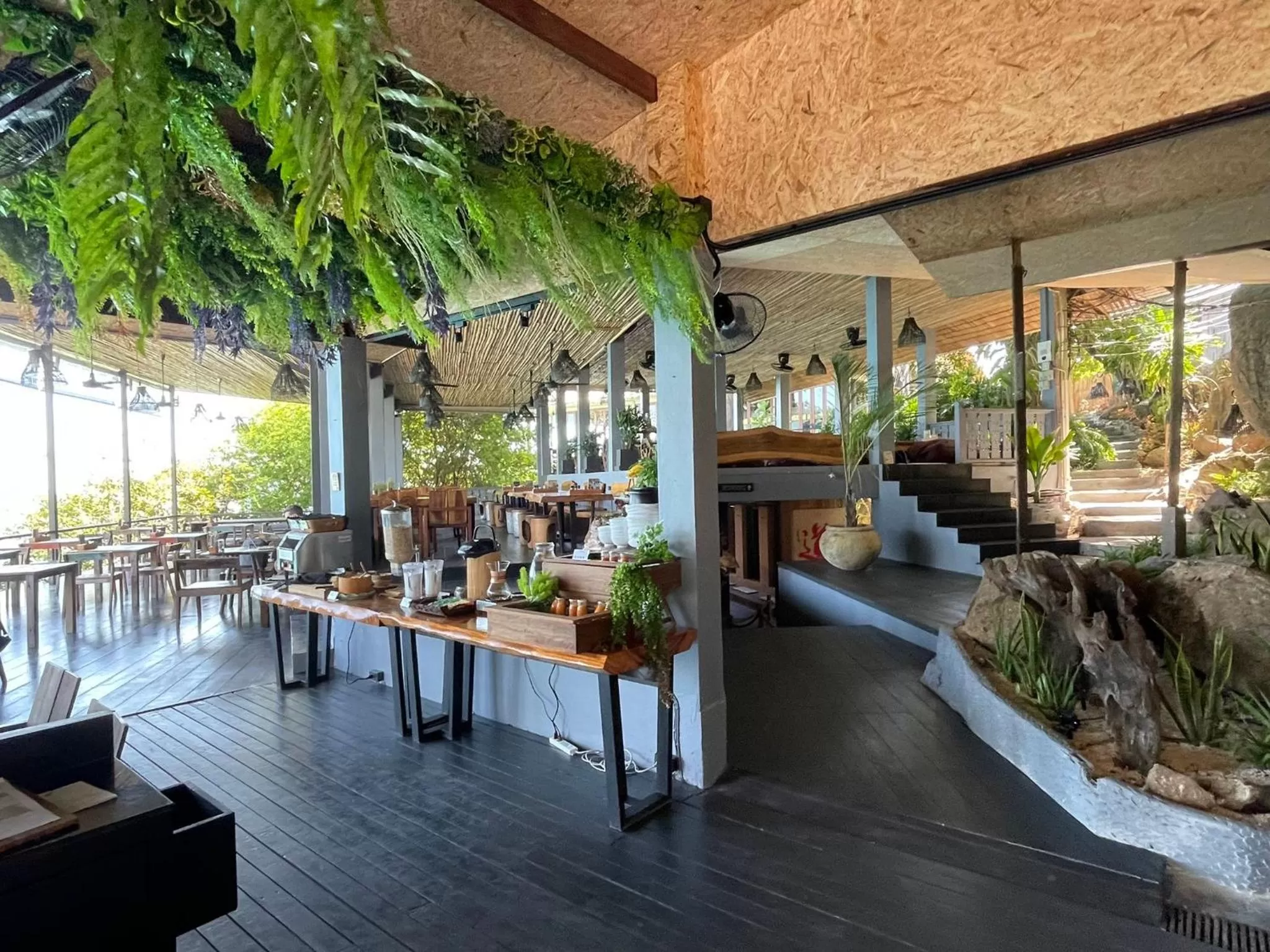 Restaurant/places to eat in Vikasa Yoga Retreat