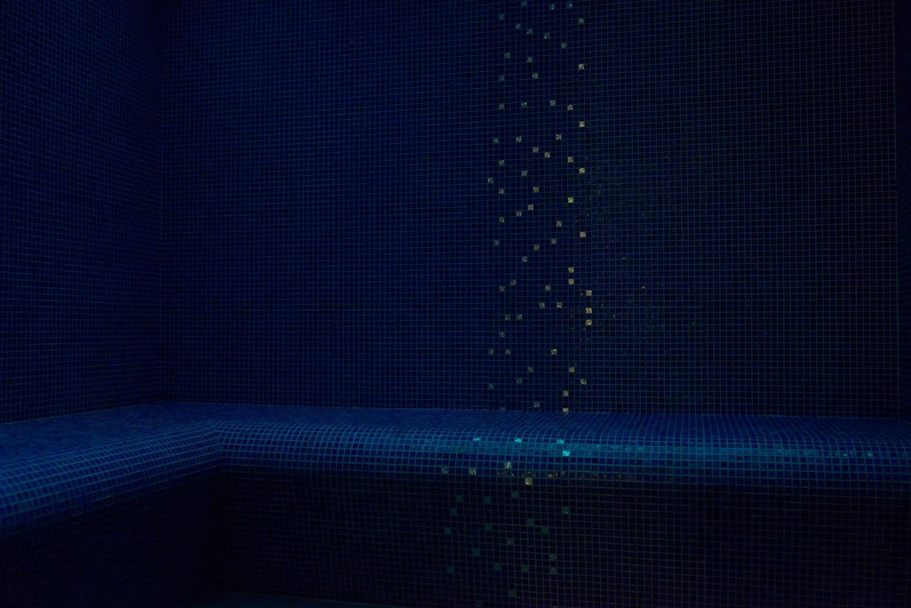 Steam room in Monsieur Cadet Hotel & Spa