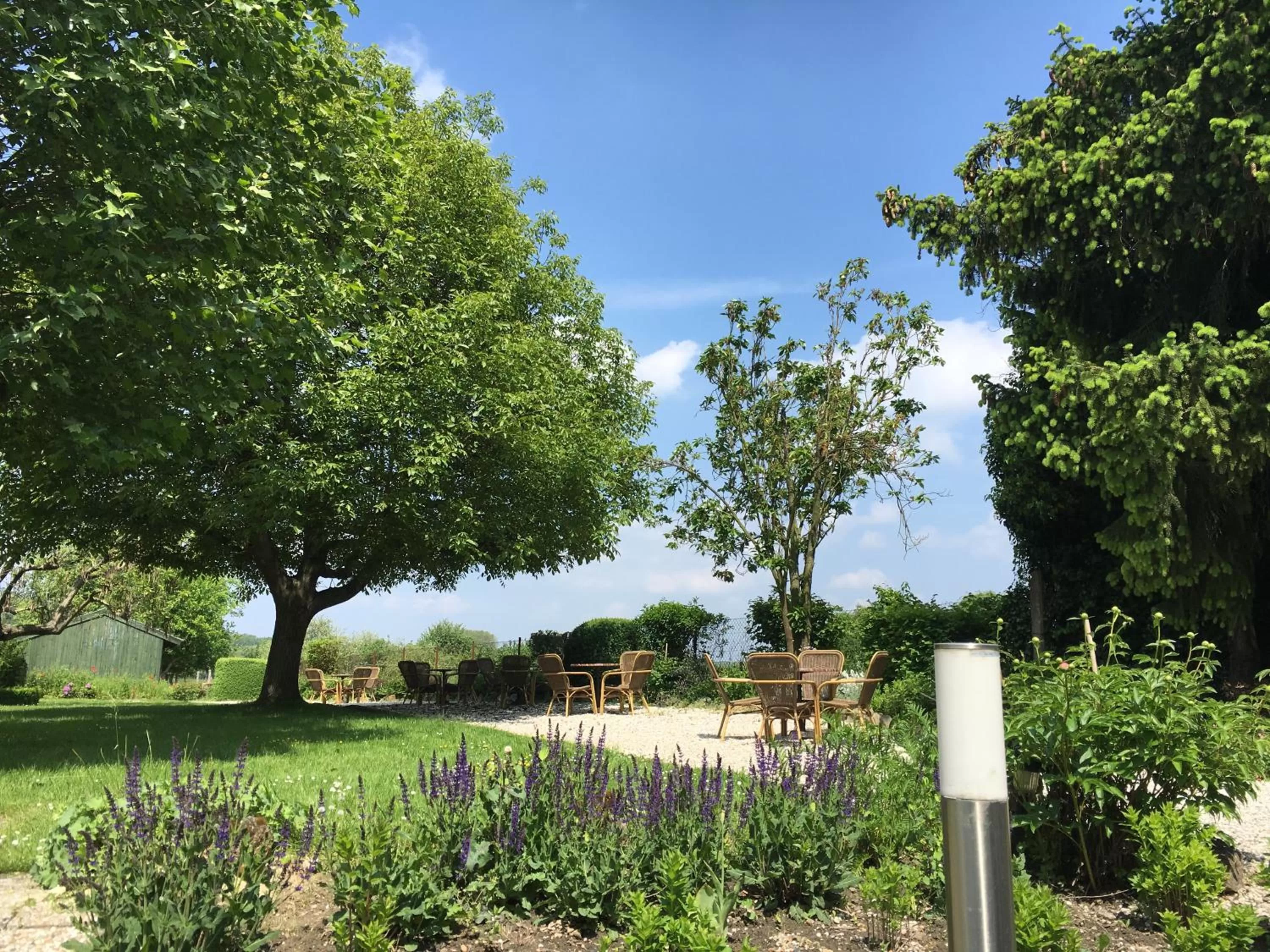 Garden in Hotel Brull