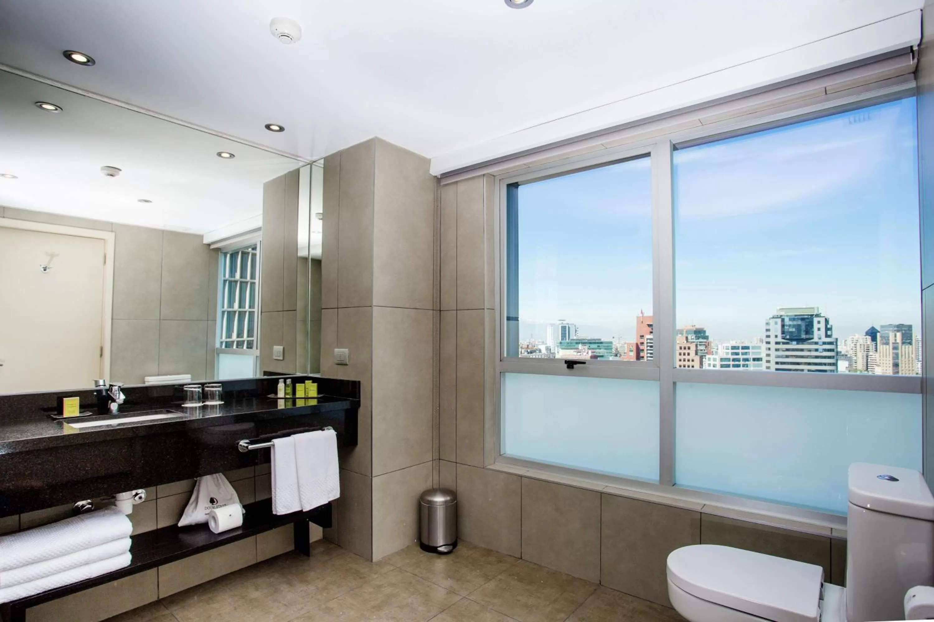 Bathroom in DoubleTree by Hilton Santiago - Vitacura
