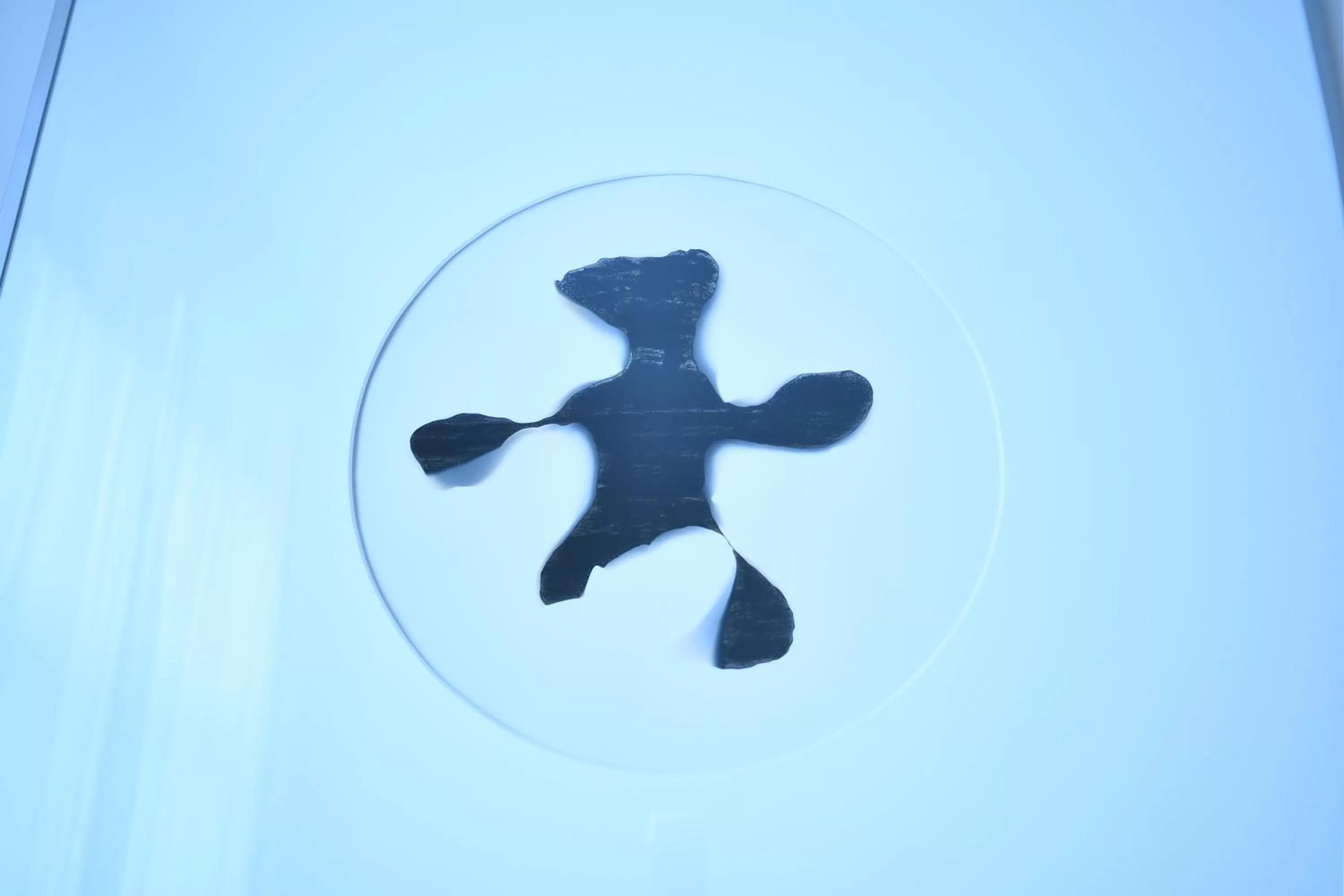 Art-Hotel Robert Mayer