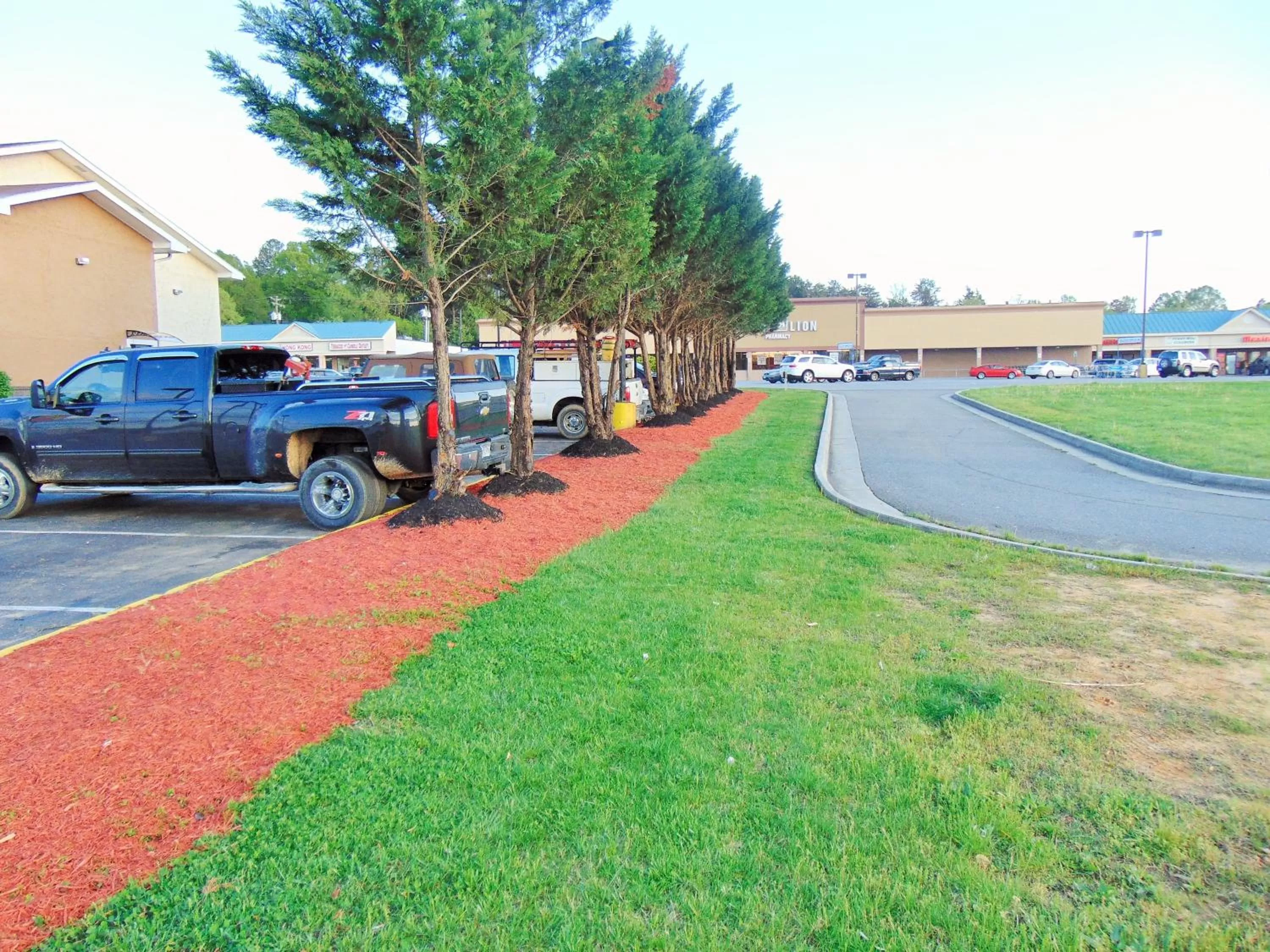 Garden in Super 8 by Wyndham South Boston VA