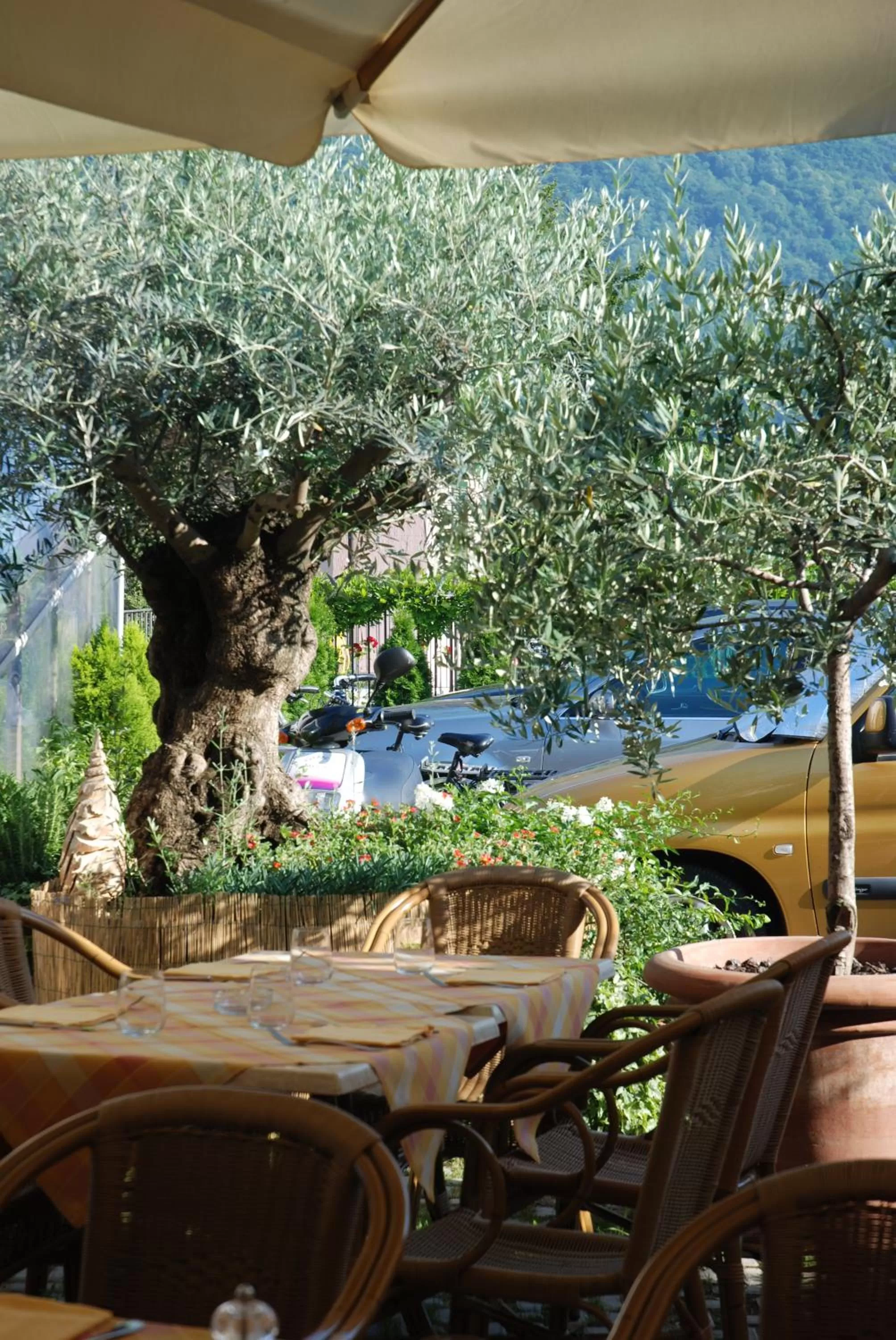 Patio in Hotel Concordia