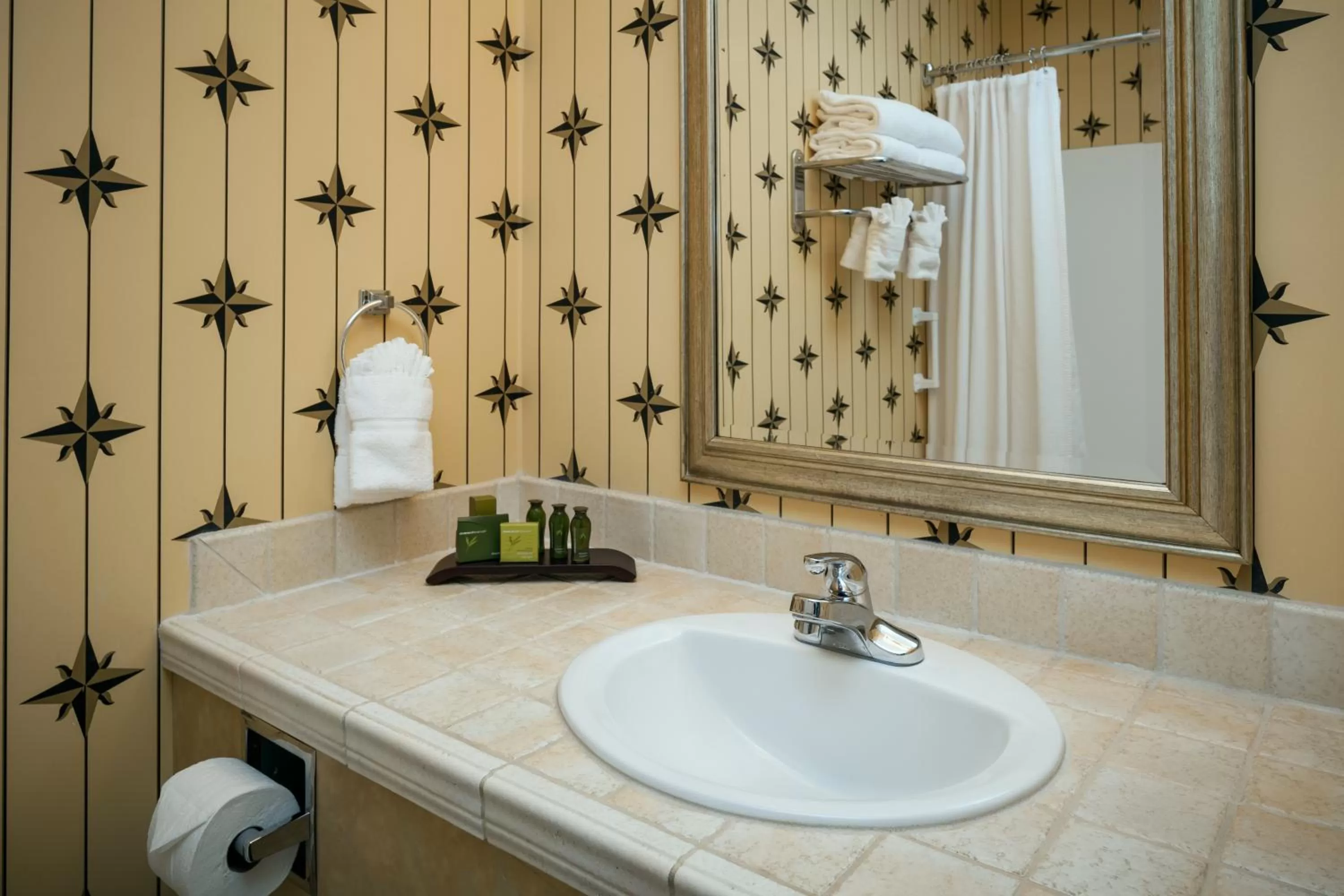 Bathroom in Plaza Inn & Suites at Ashland Creek