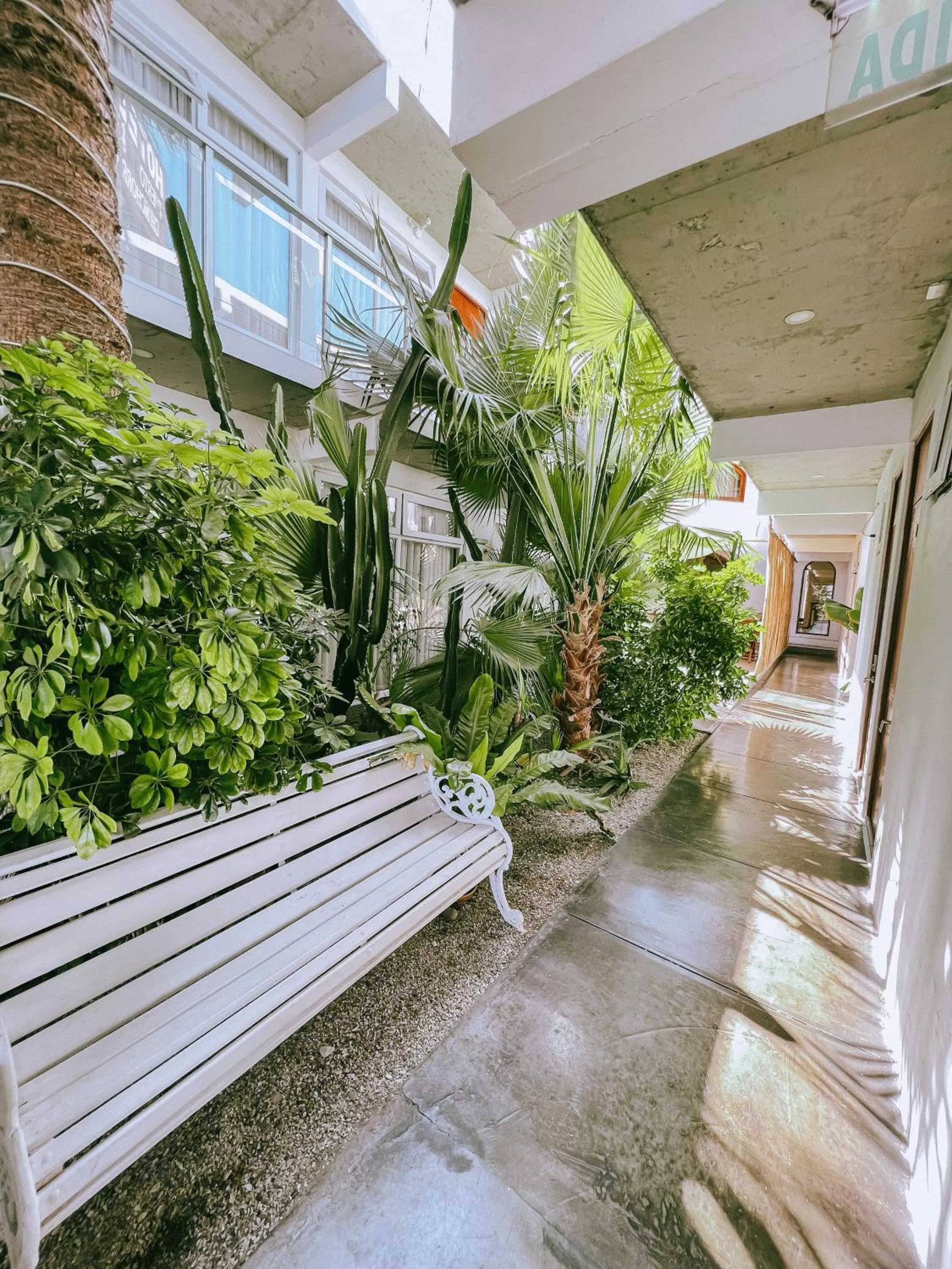 Day in Hotel Puerto Chinchorro