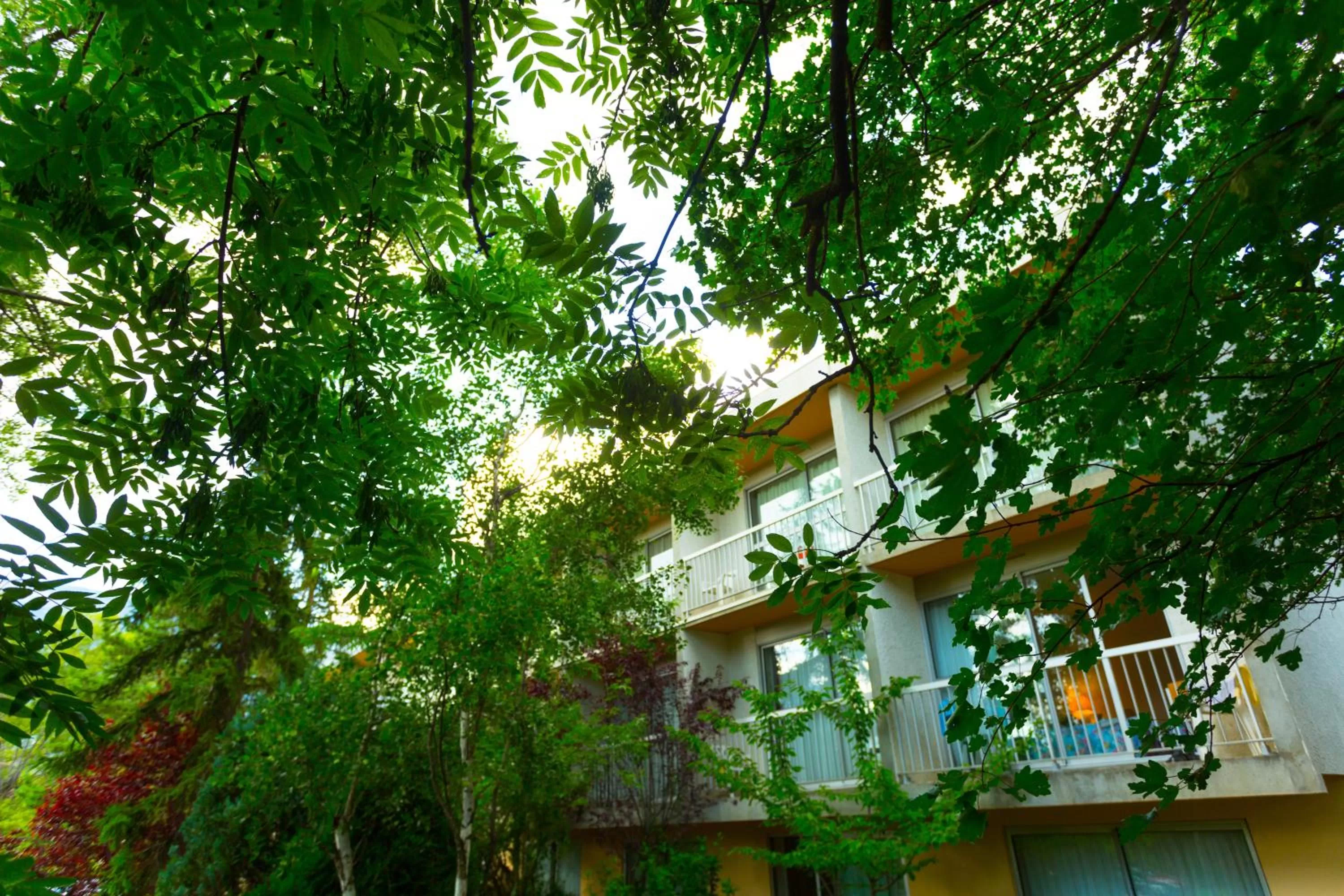 Property building in Hôtel Restaurant Pavillon Carina