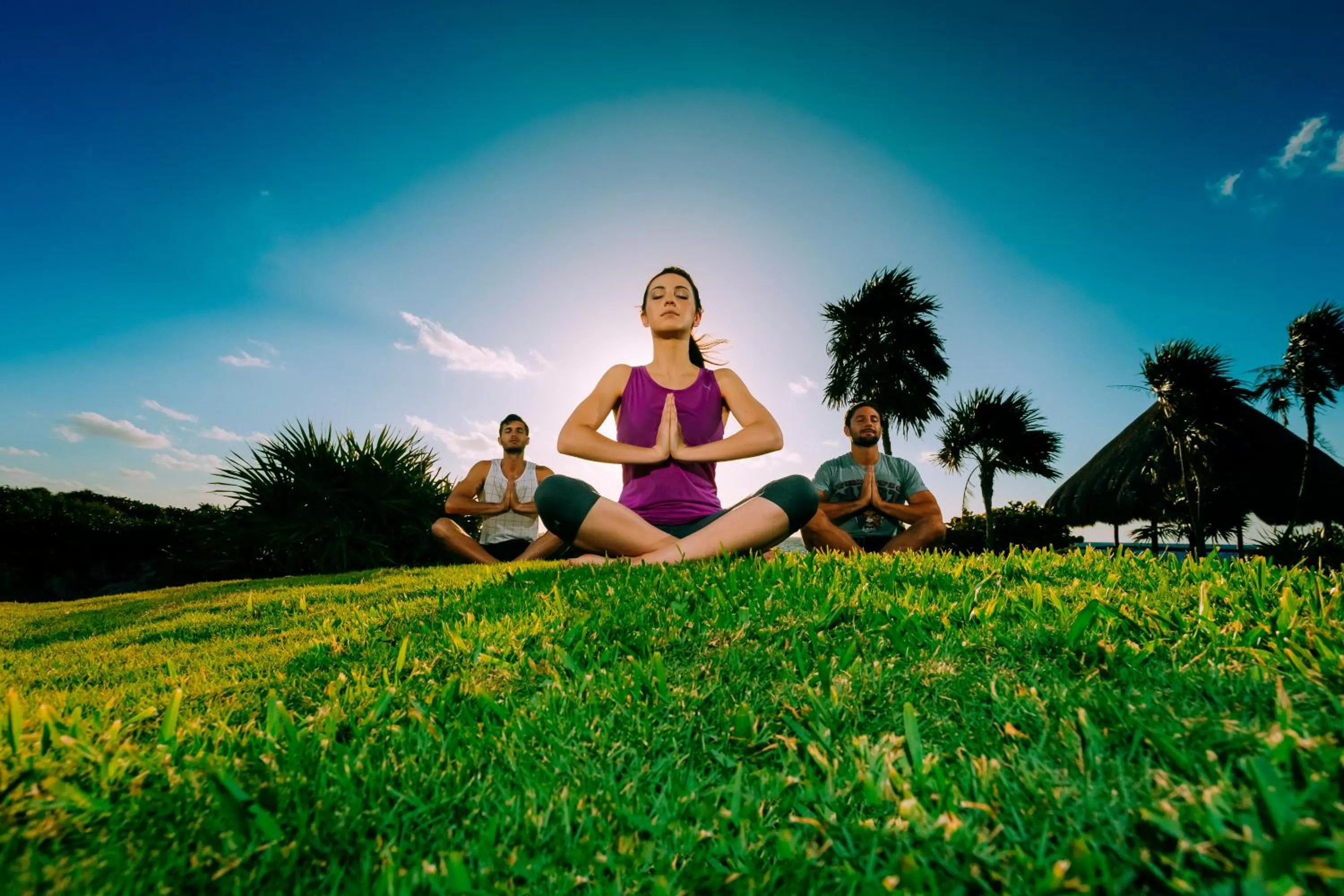 Garden in Occidental at Xcaret Destination - All Inclusive