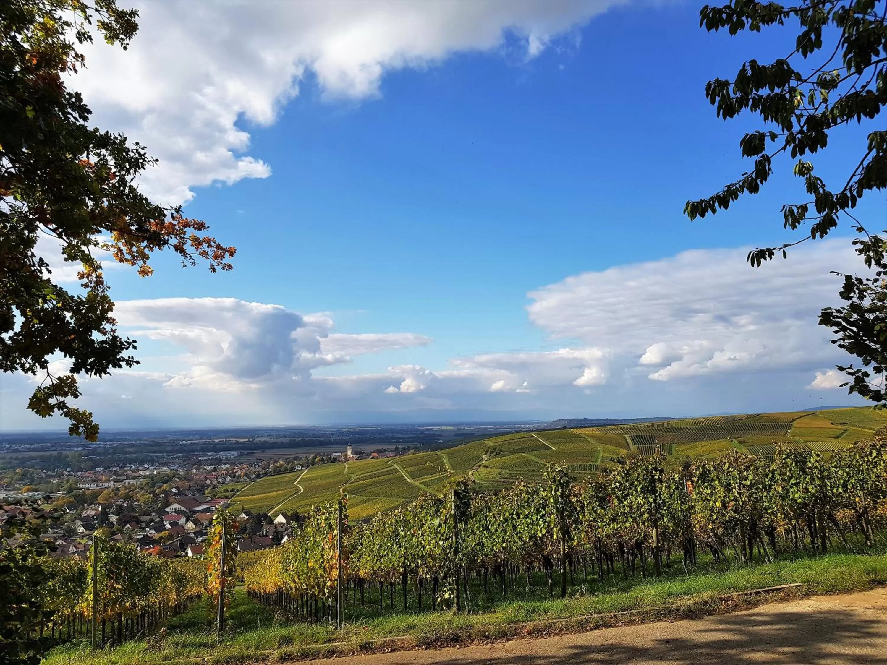 Staff in Apart Hotel Freiburg