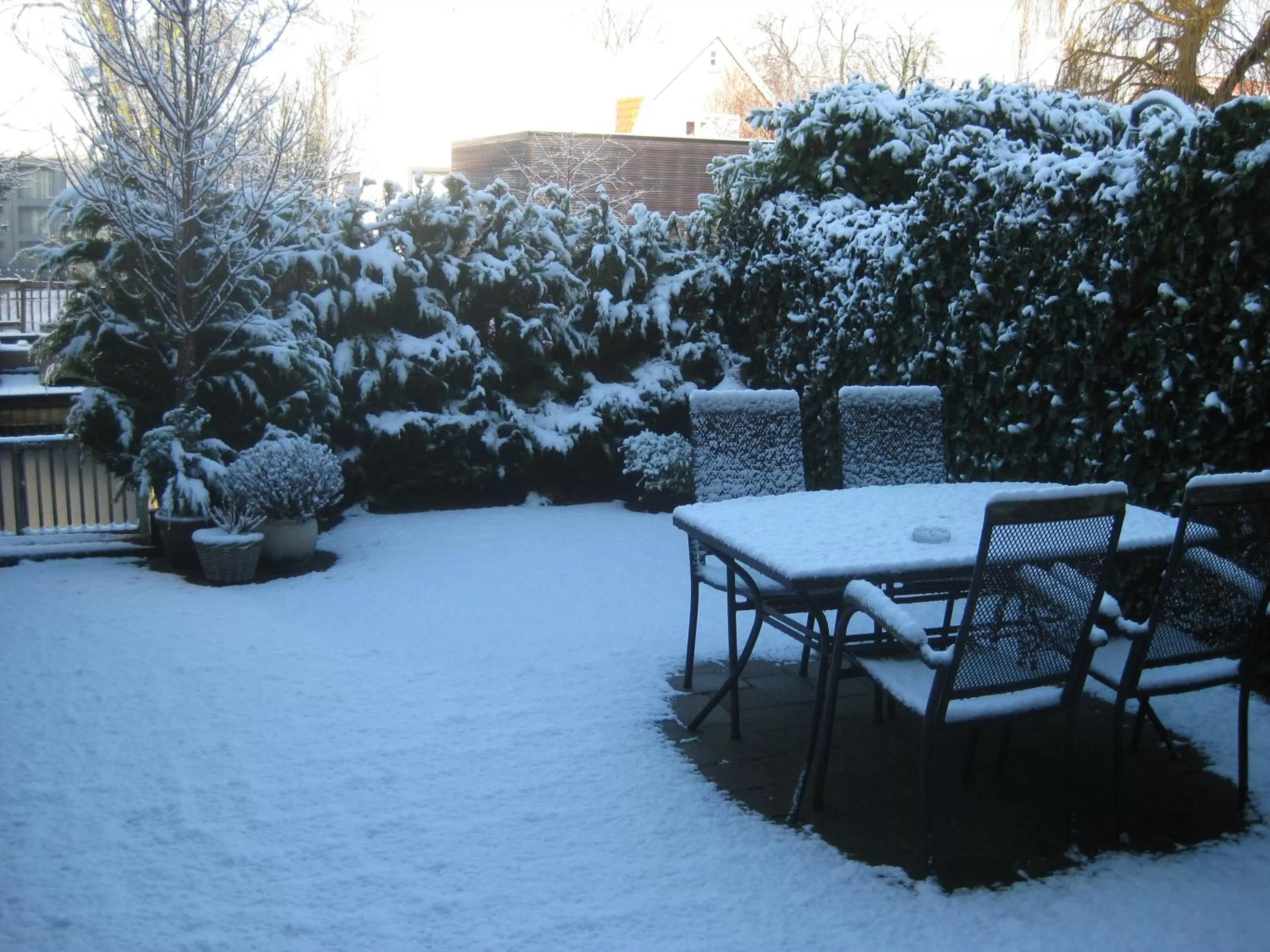 Property building, Winter in Quarenta Studio