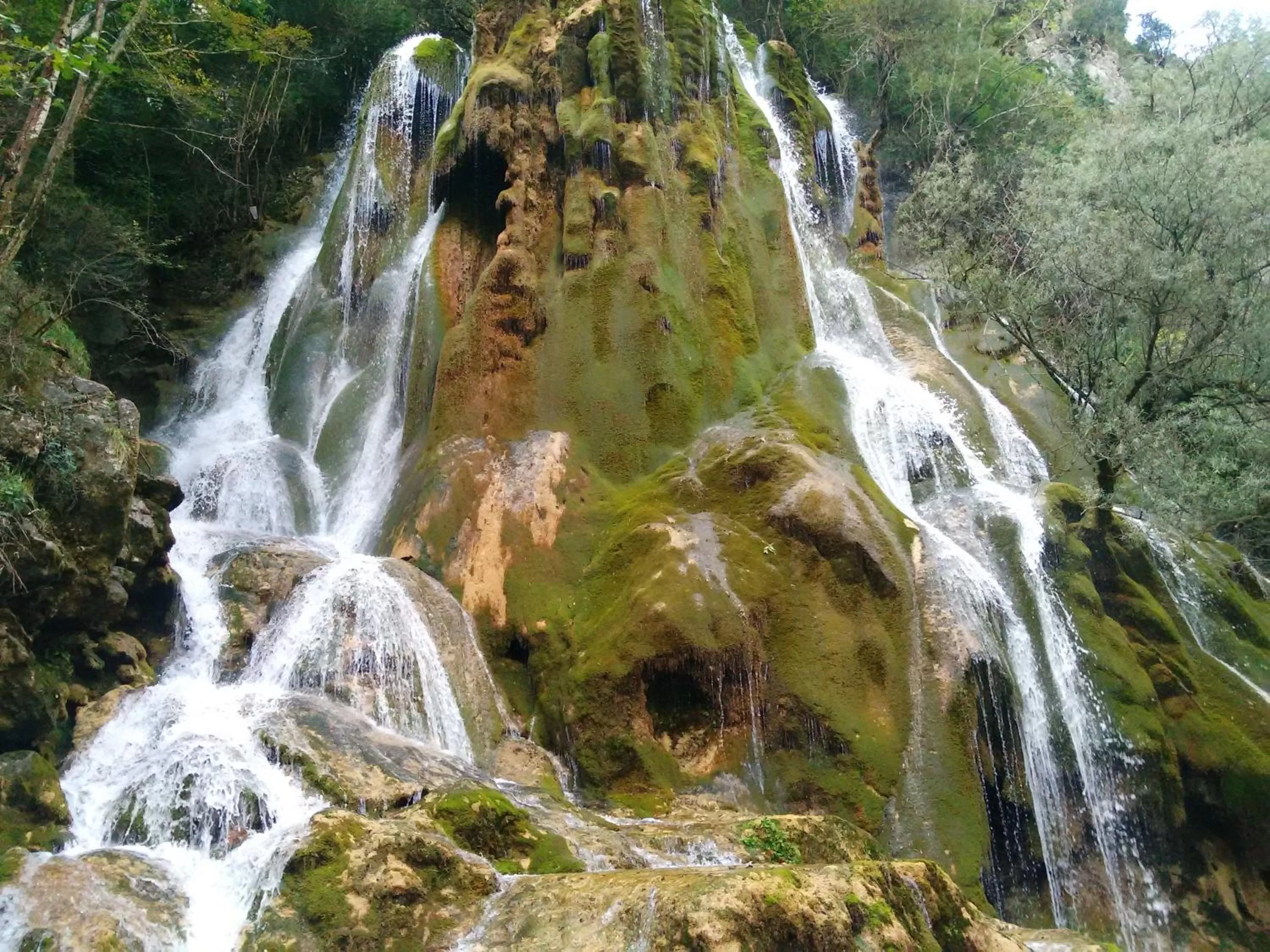 Activities in L'Estapade des Tourelons