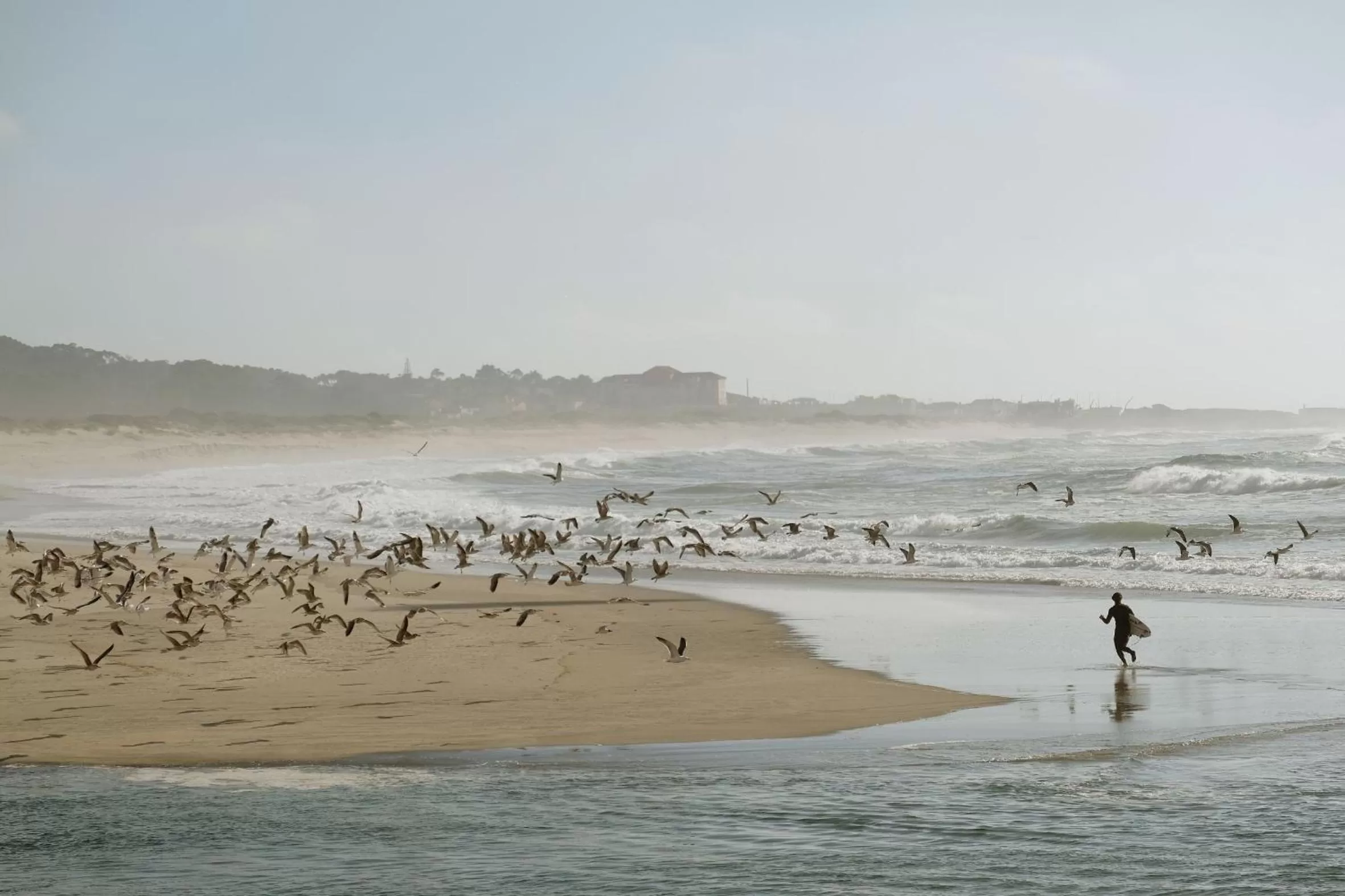 Natural landscape in Hotel Meira