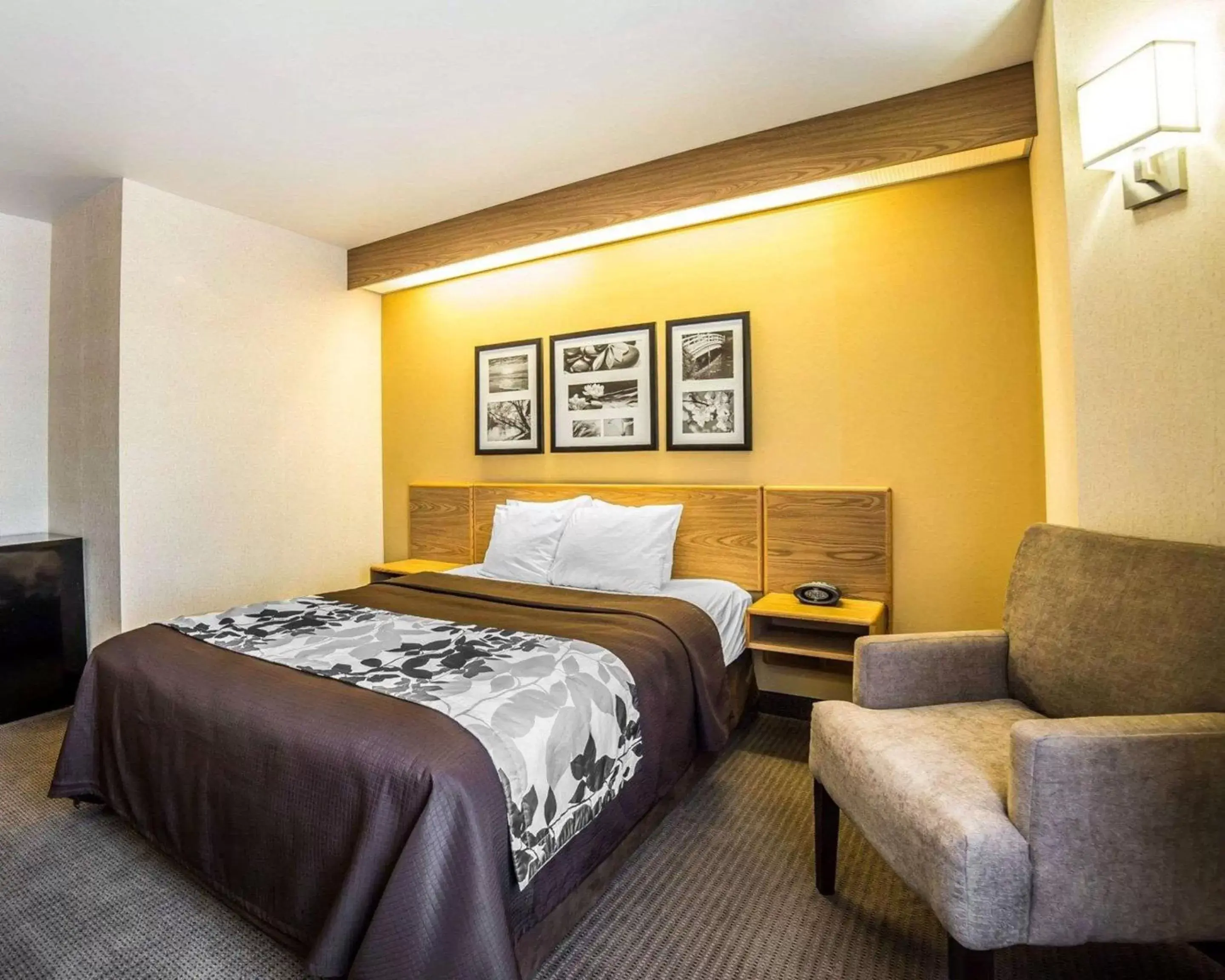 Queen Room - Accessible/Nonsmoking in Quality Inn Moab Slickrock Area Queen Room - Accessible/Nonsmoking in Quality Inn Moab Slickrock Area