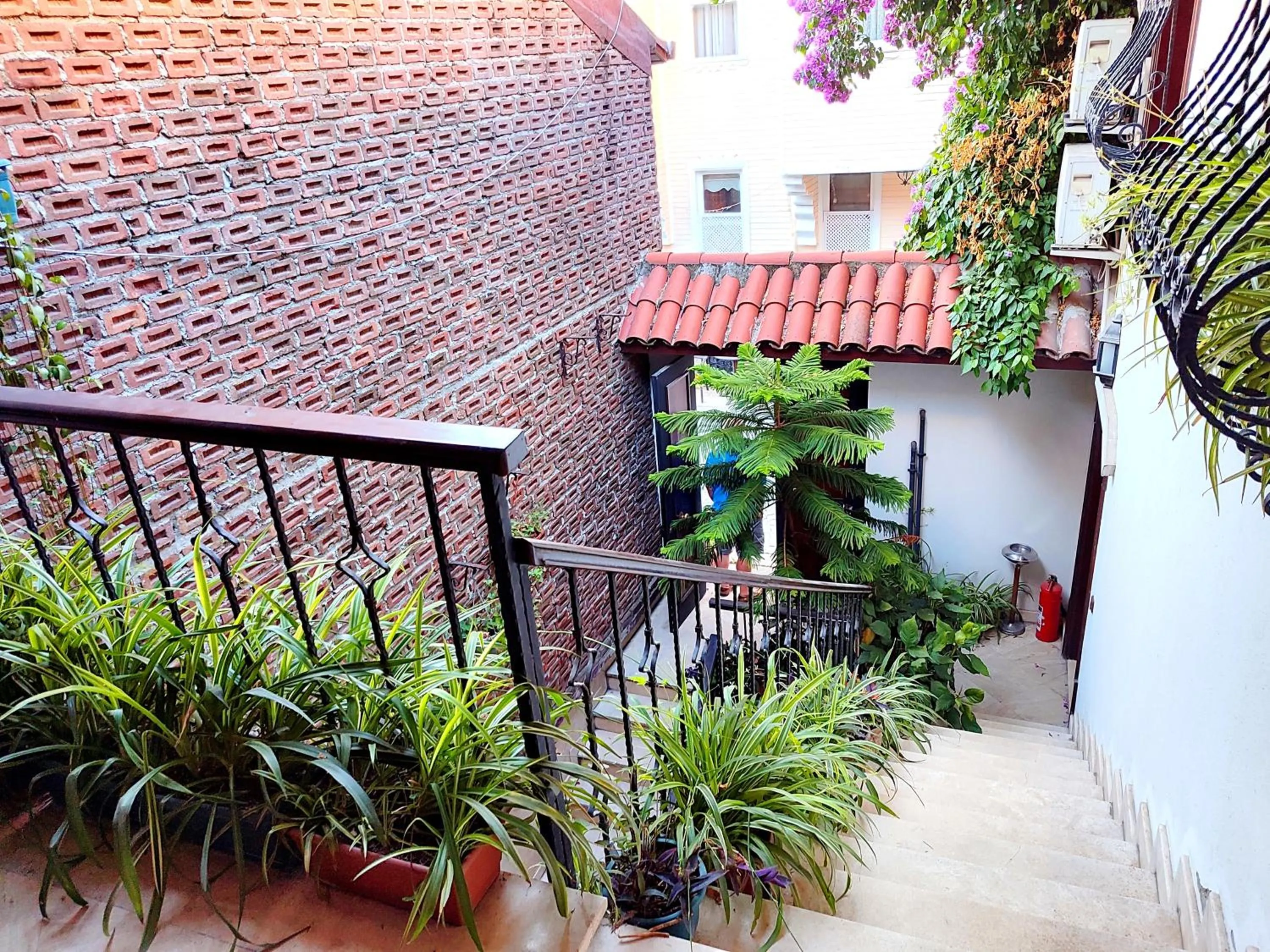 Garden in Villa Sphendone Suites Istanbul