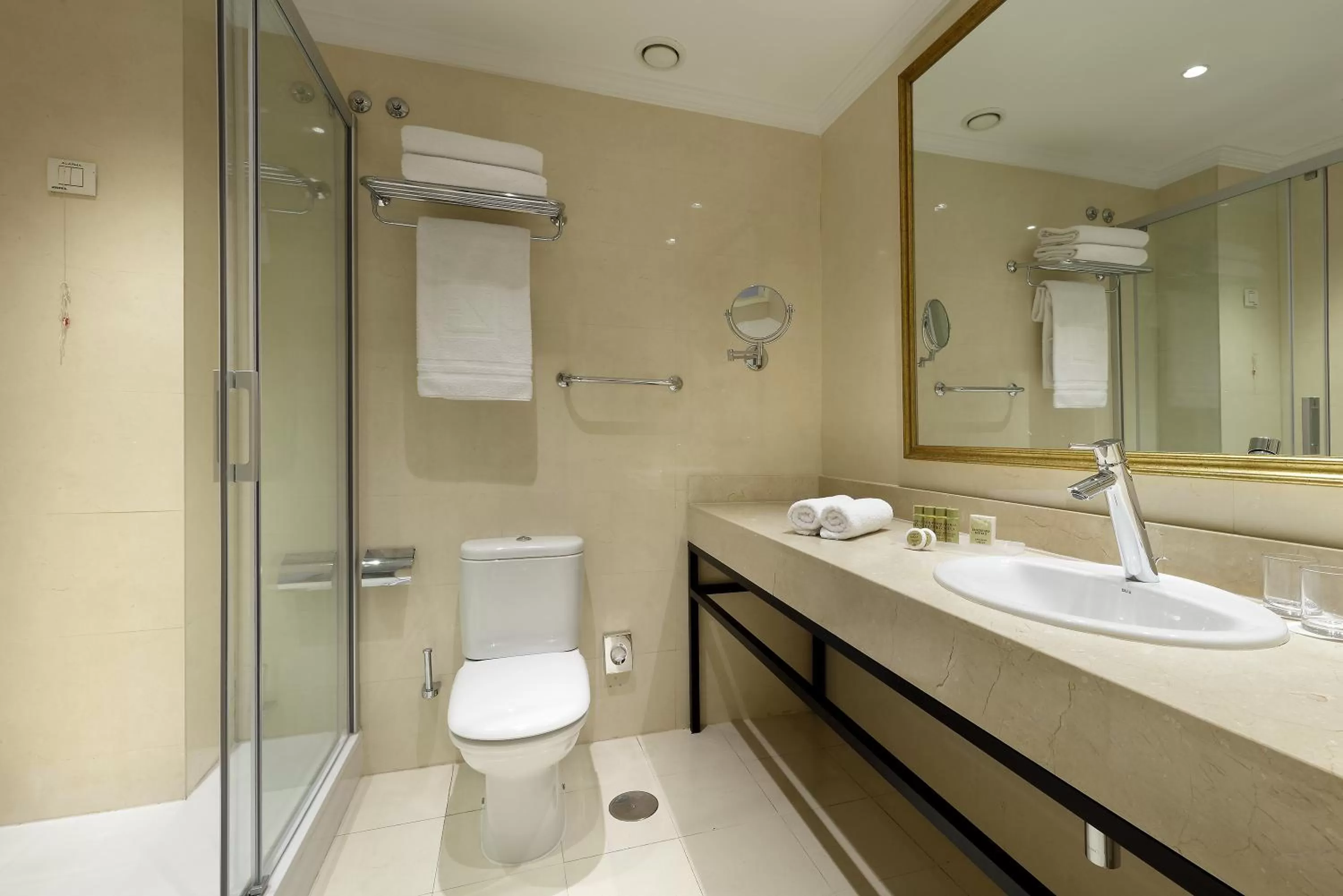 Bathroom in Eurostars Casa de la Lírica