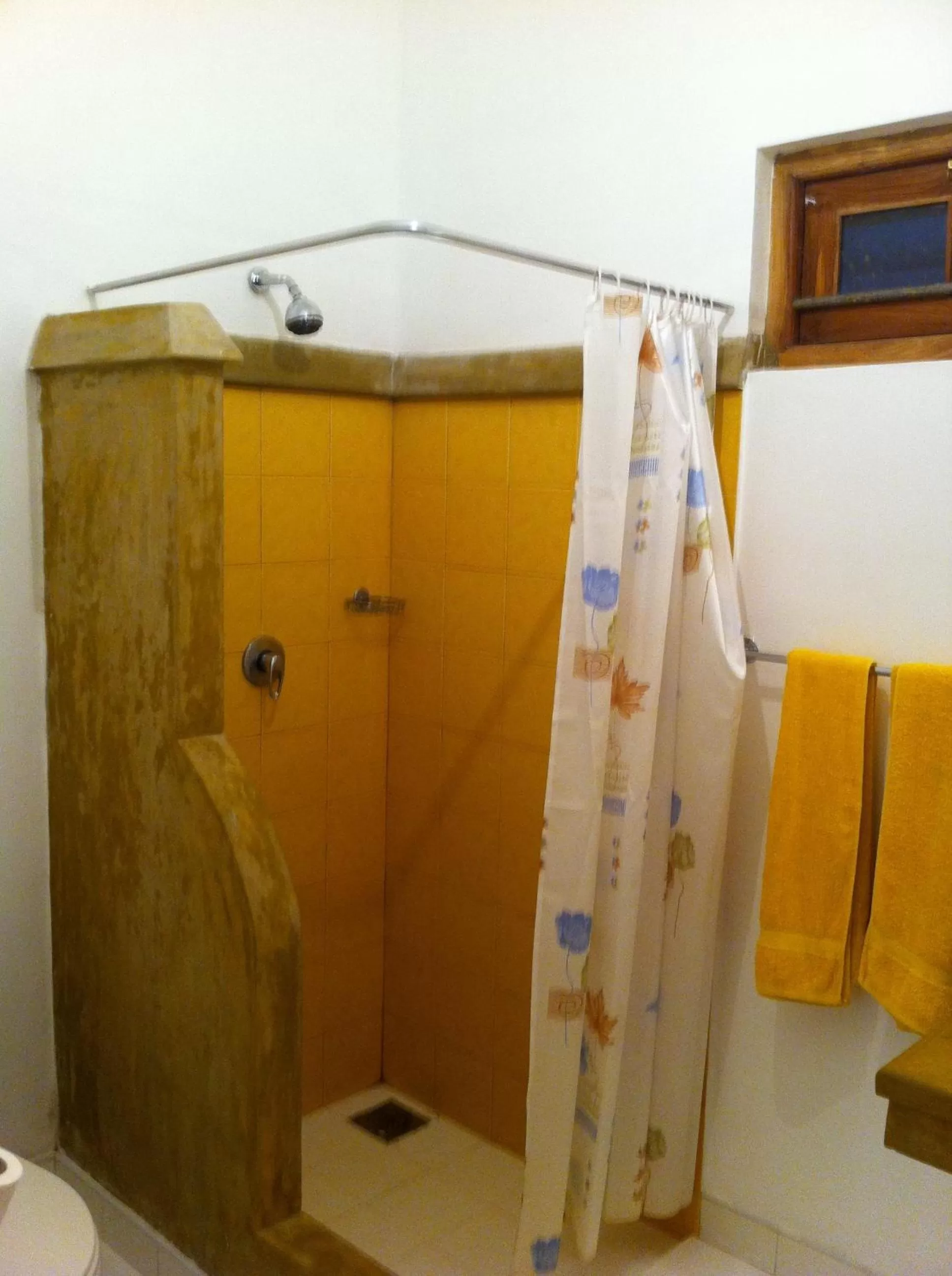 Shower in Little Paradise Tourist Guest House and Holiday Home