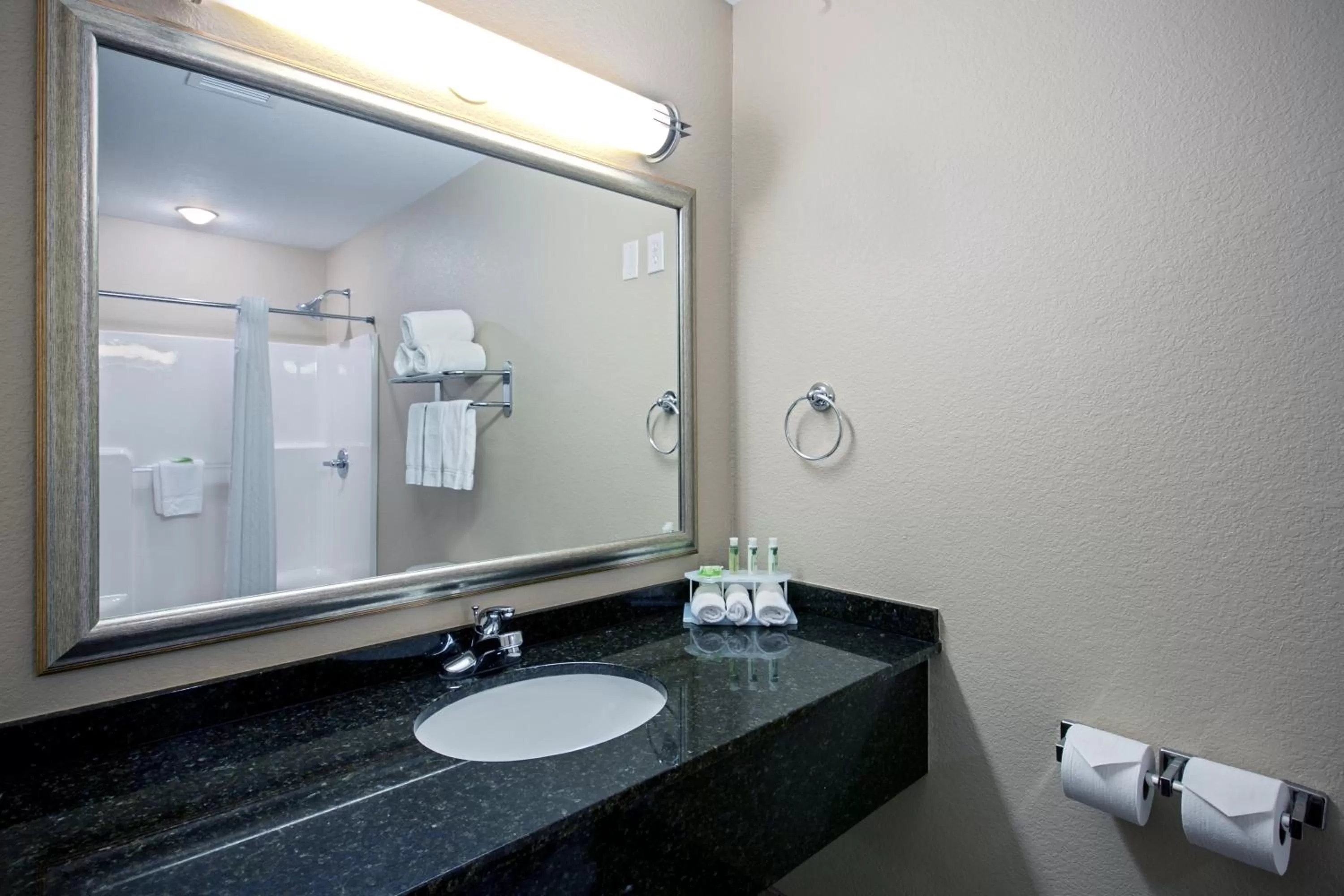King Suite in Holiday Inn Express & Suites - Green Bay East, an IHG Hotel