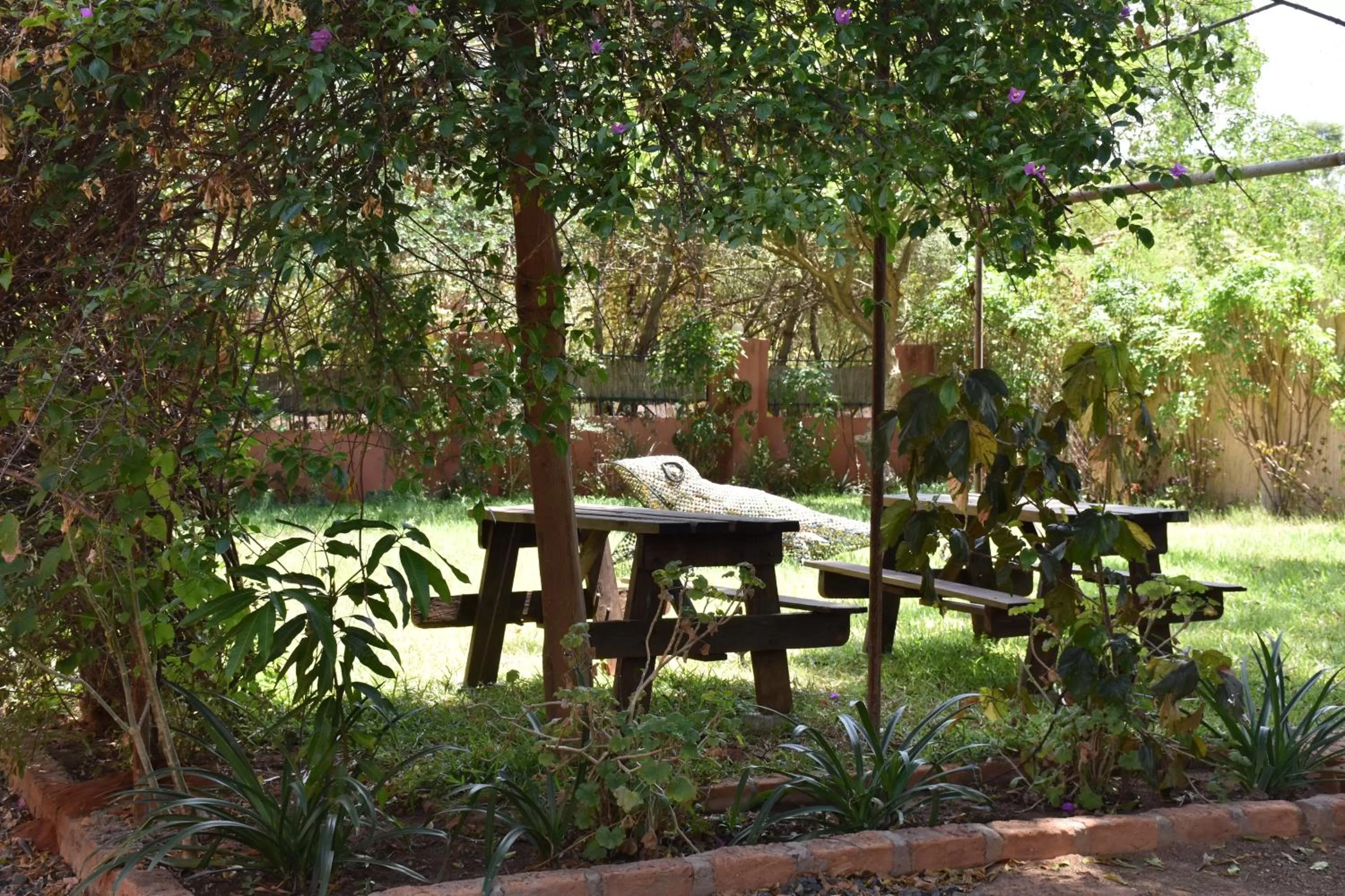 Garden view in Tabonina Bis