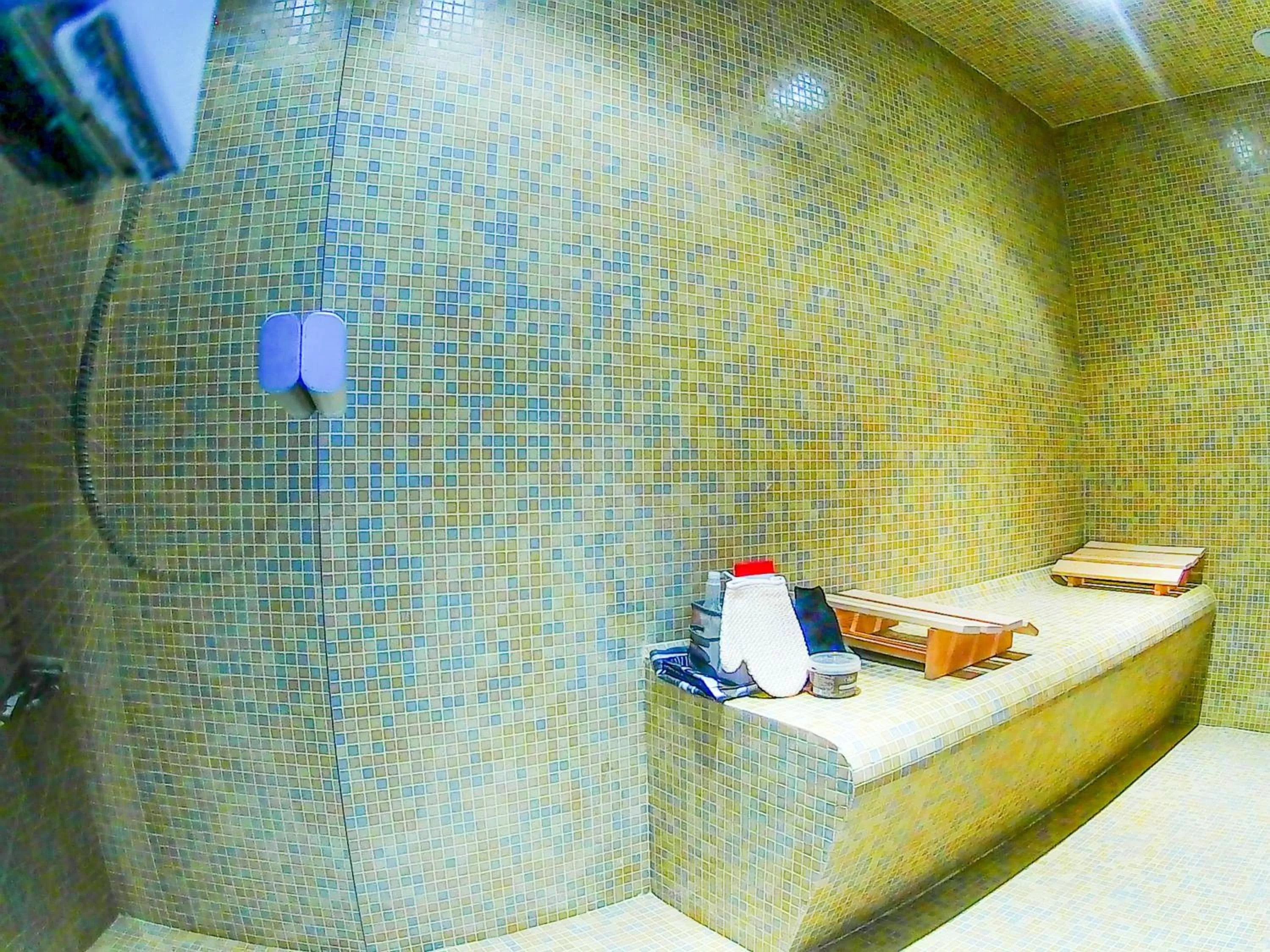 Shower, Bathroom in Chez Martine et Philippe en Velay