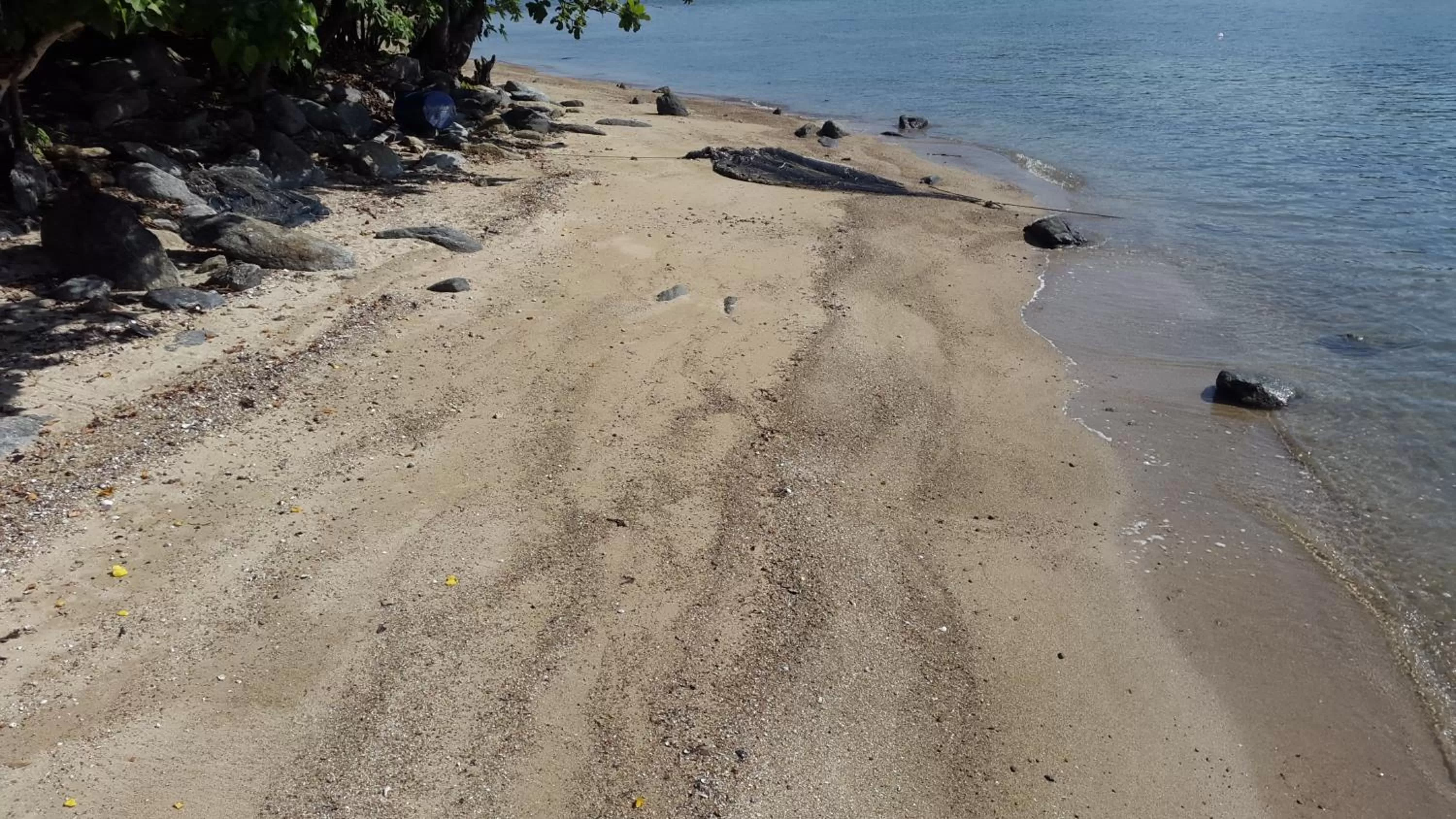 Area and facilities, Beach in River Hotel