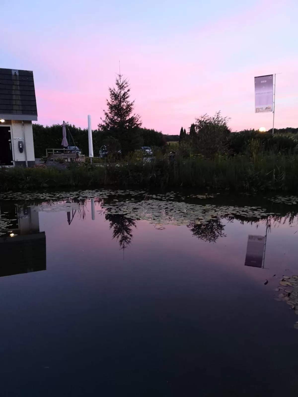 Natural landscape in B&B Bovenweg