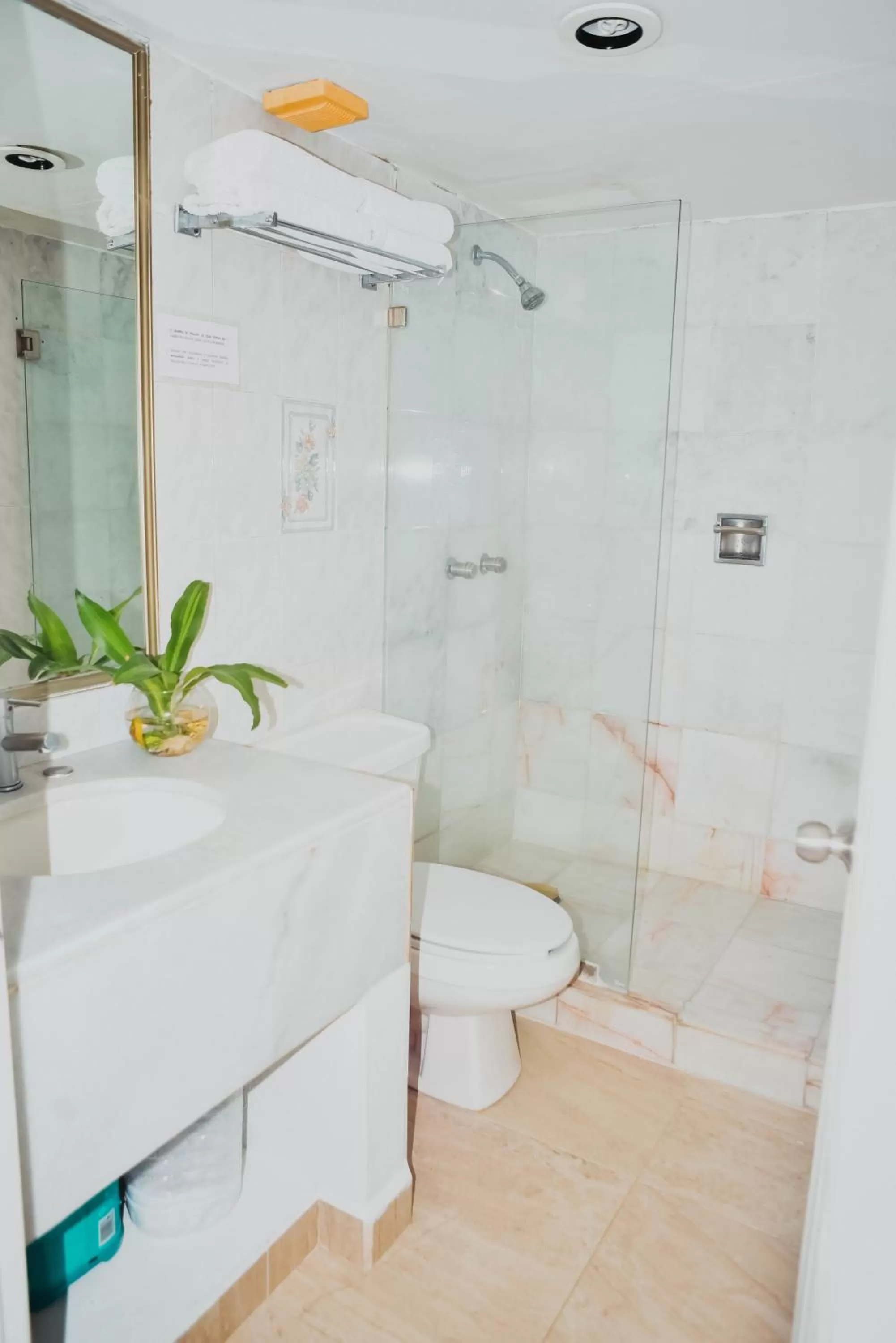 ENNA INN IXTAPA DEPARTAMENTOS ViSTA AL MAR