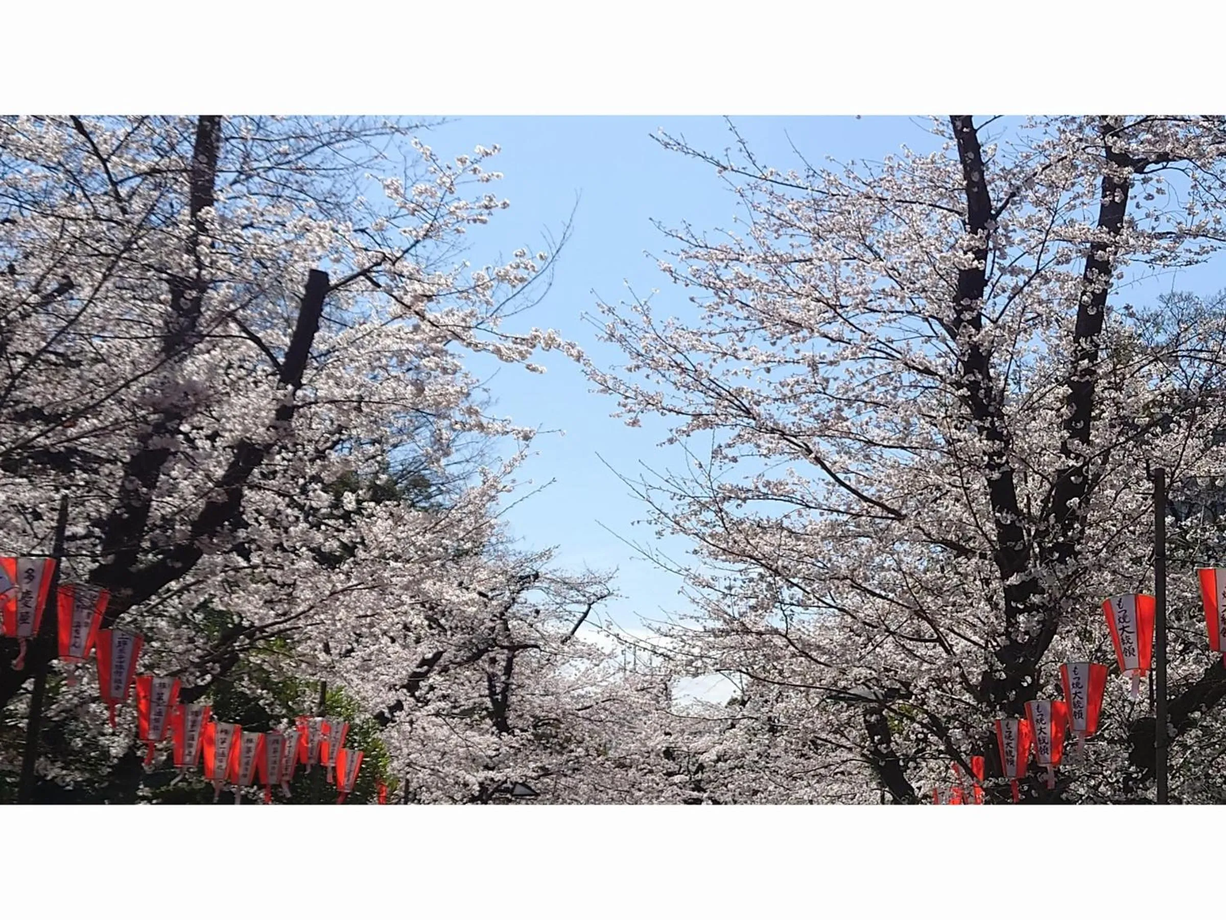 Nearby landmark in Hotel Sardonyx Ueno