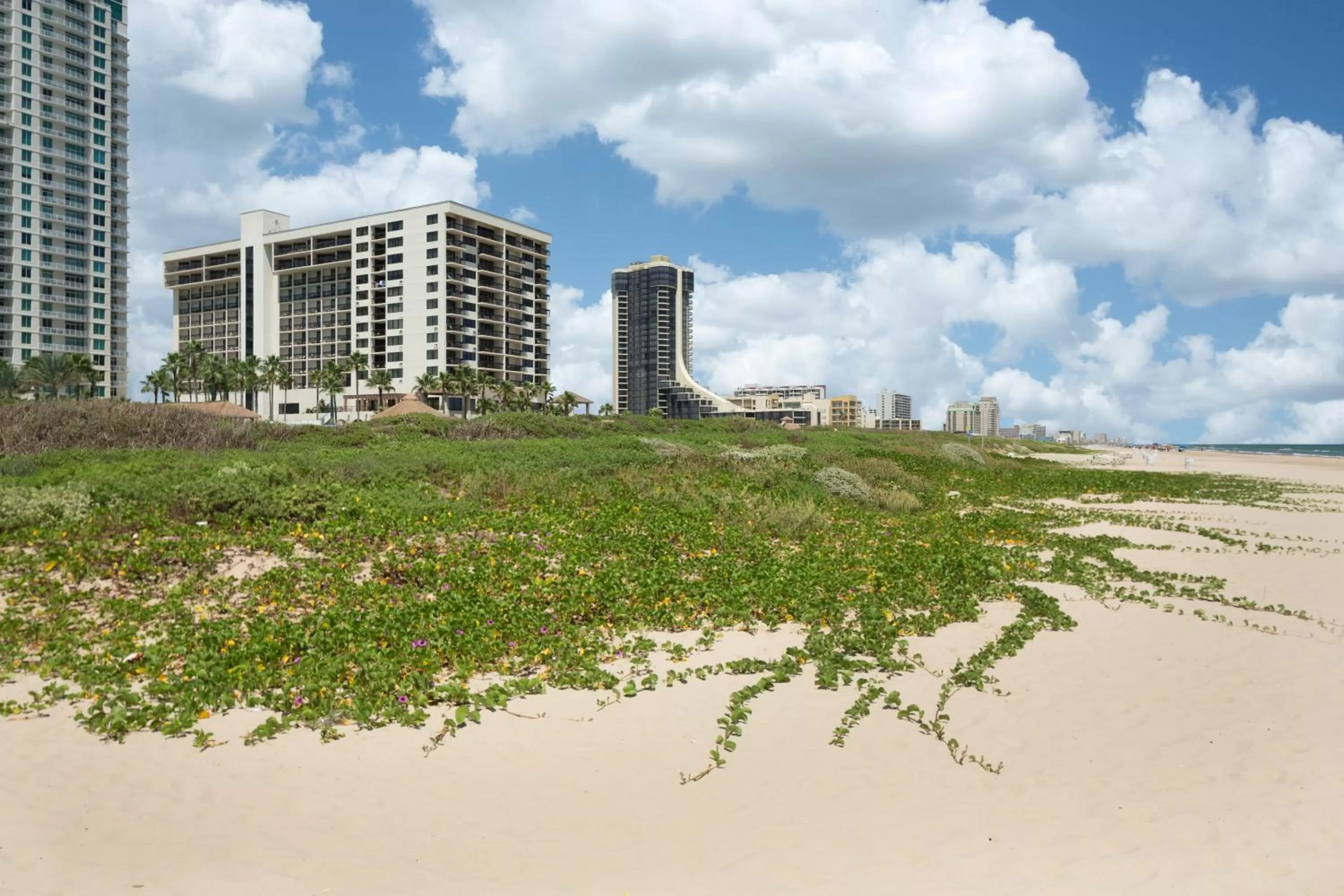 Beach in Margaritaville Beach Resort South Padre Island