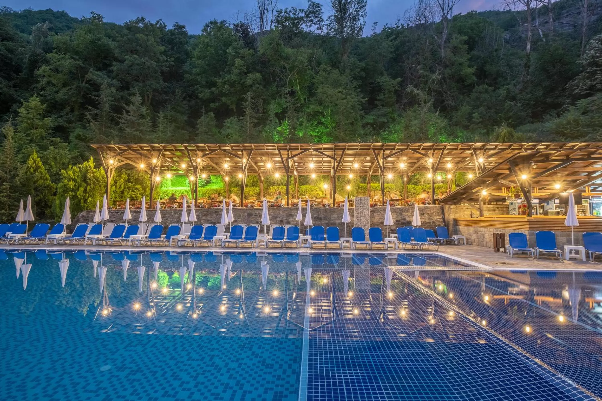 Swimming pool in Park Hotel Asenevtsi