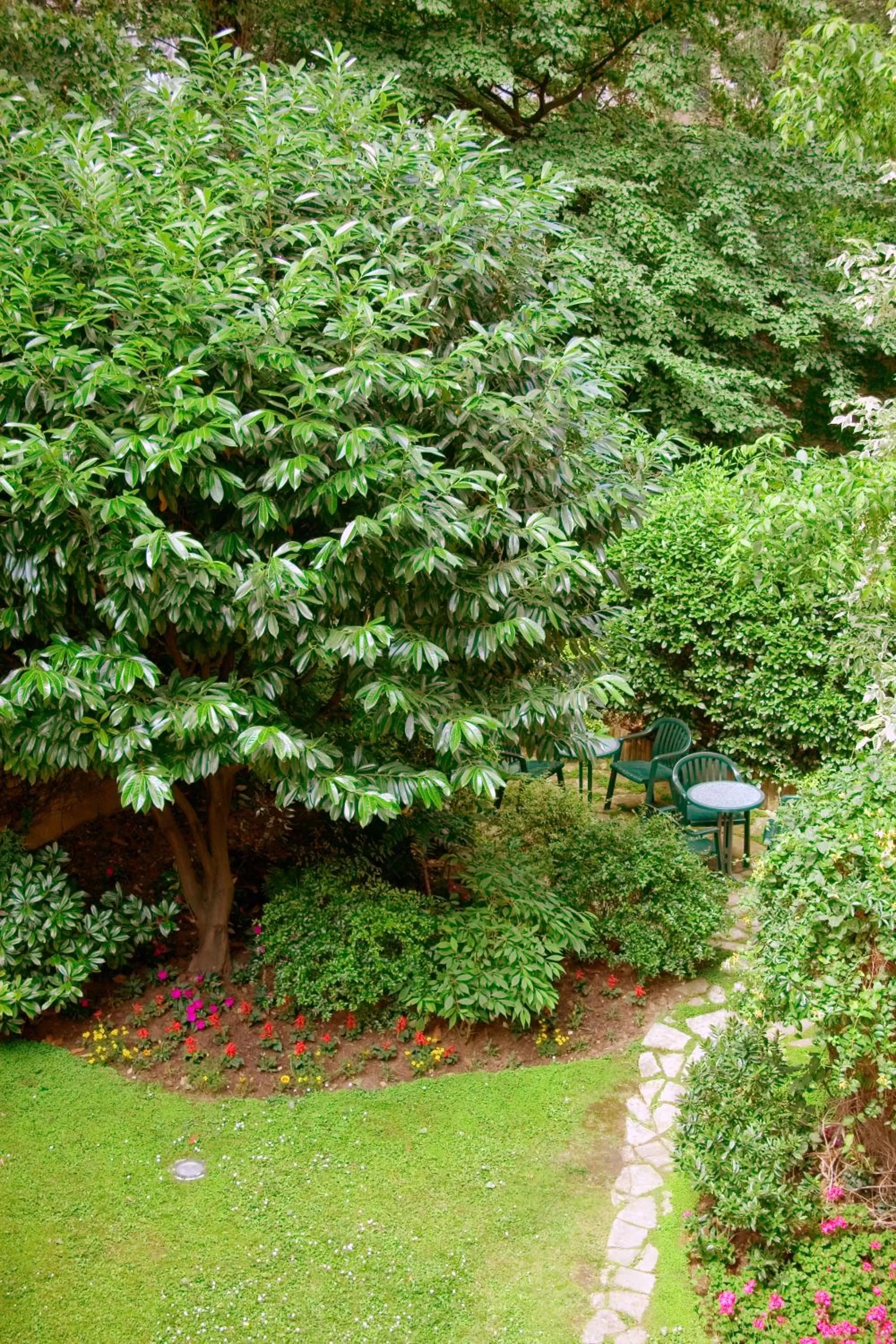 Bird's eye view in Abaca Messidor by Happyculture