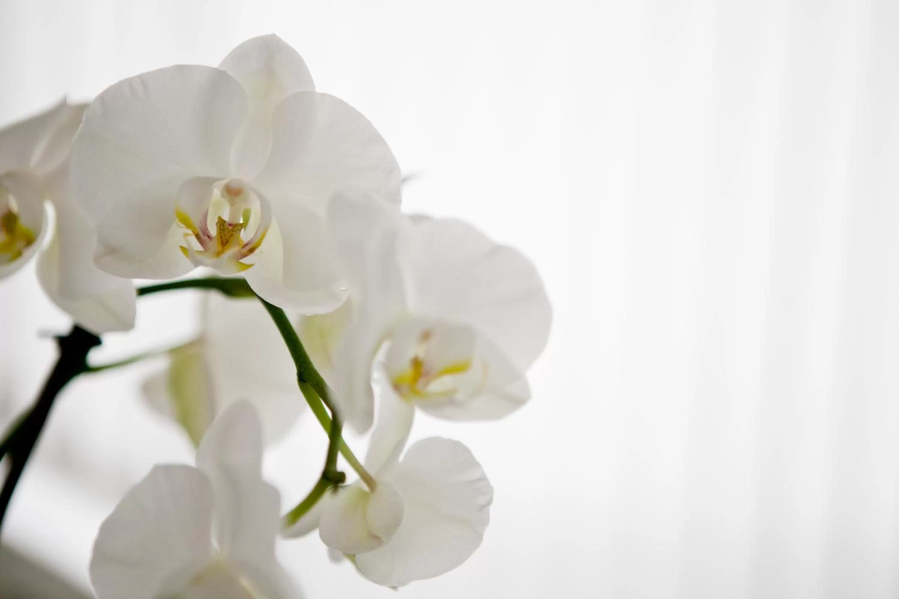 Other in Hotel Am Römerwall