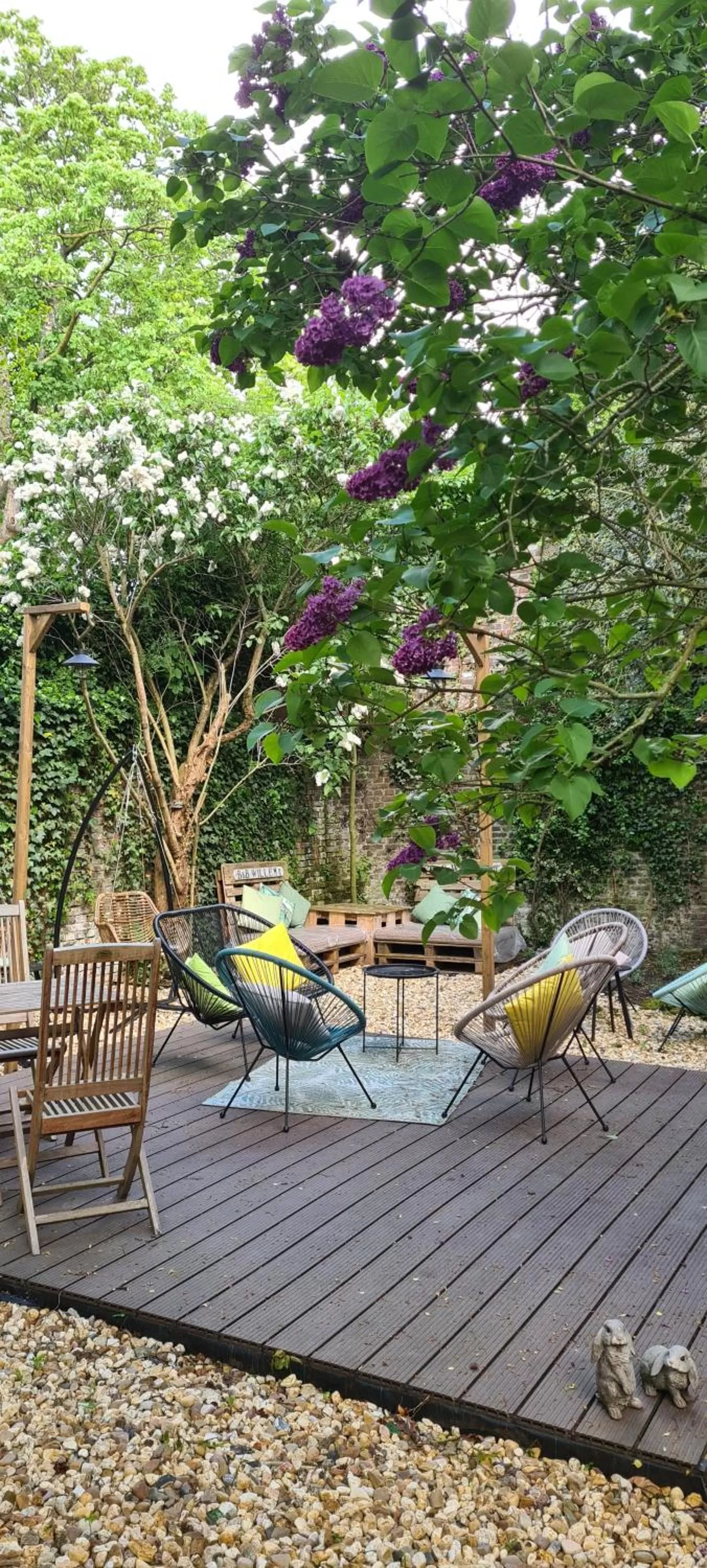 Garden in B&B Willem II