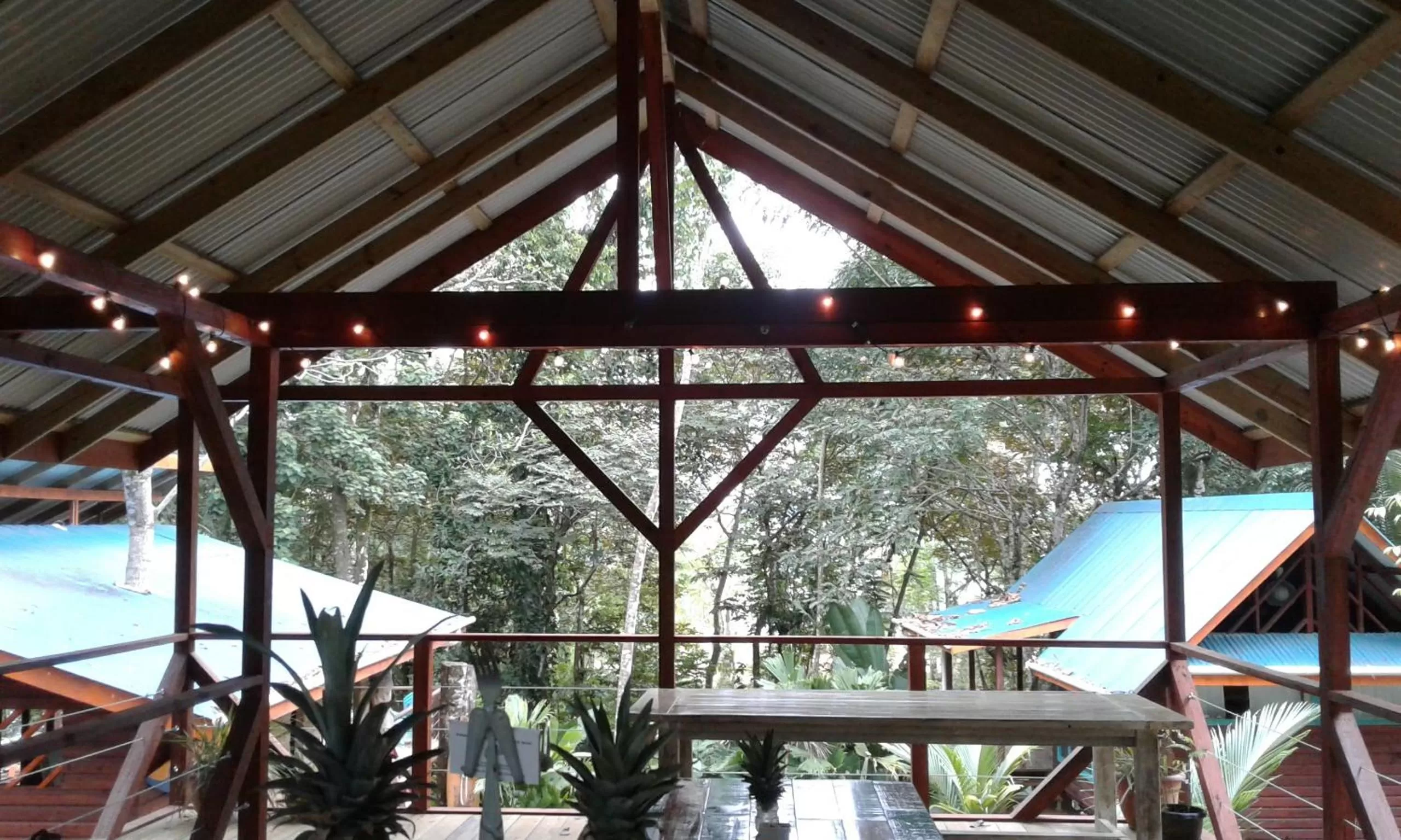 Restaurant/places to eat in Surf Break at Paunch