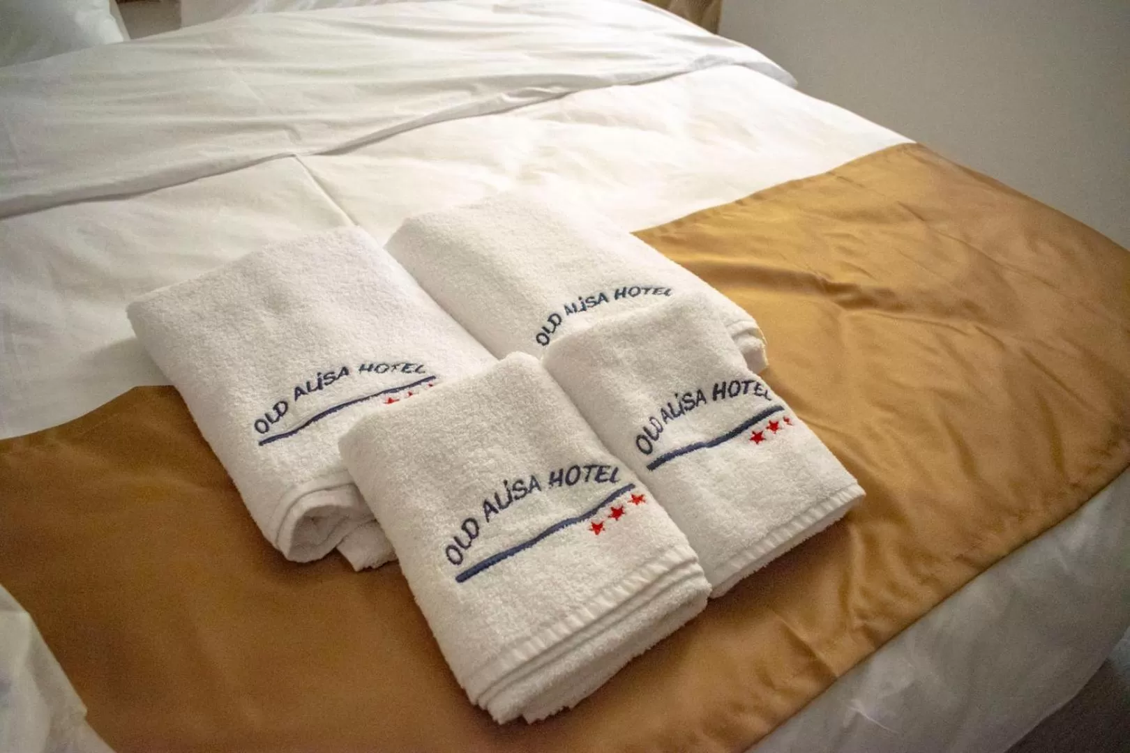 Bed in Hotel Old Alisa