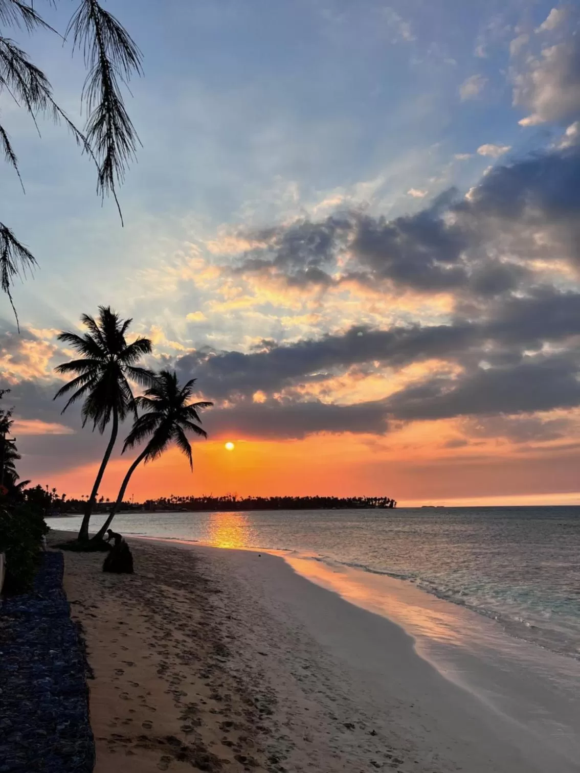 Beach in Hotel La Tortuga