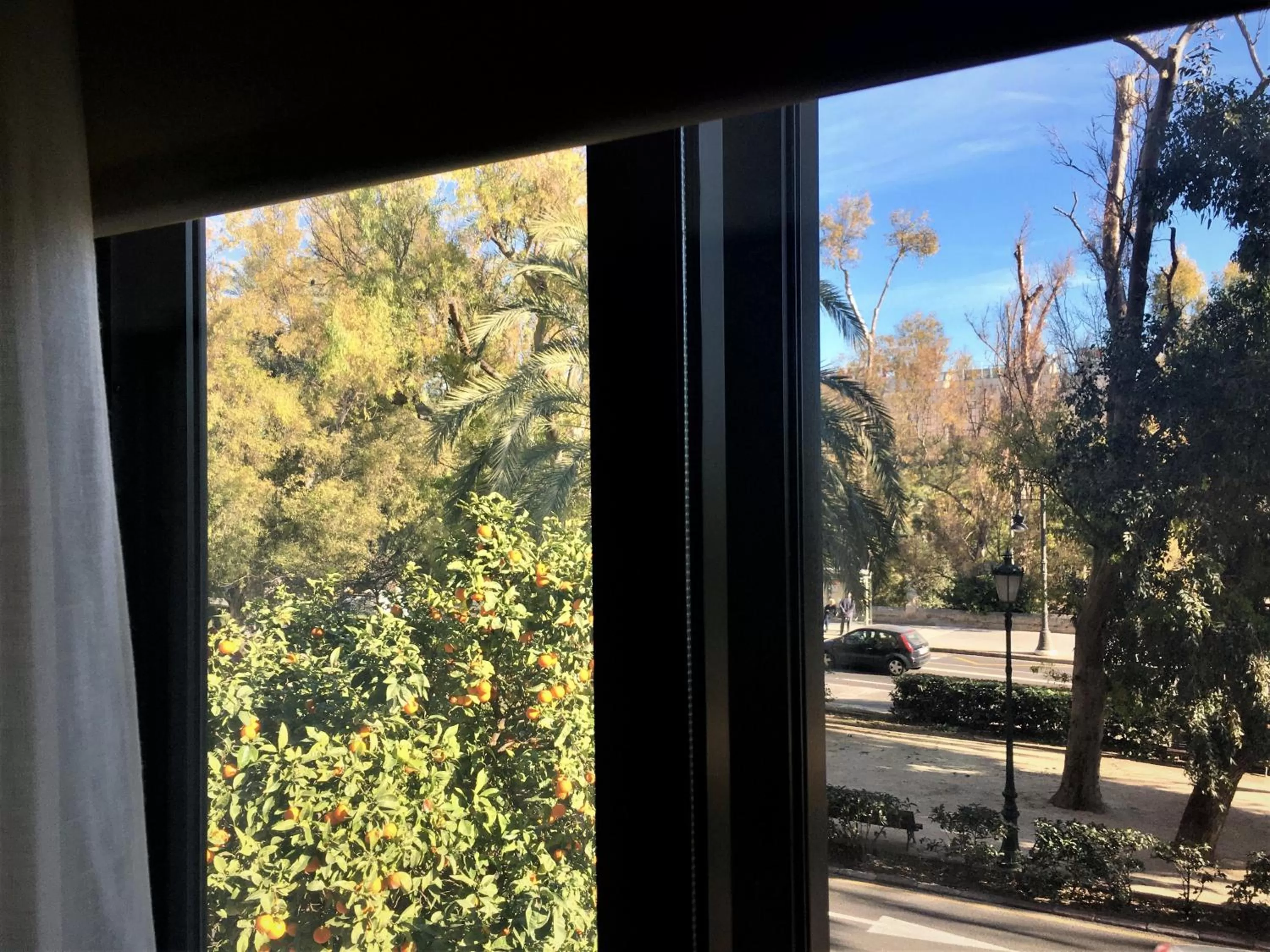 View (from property/room) in MD Modern Hotel - Jardines