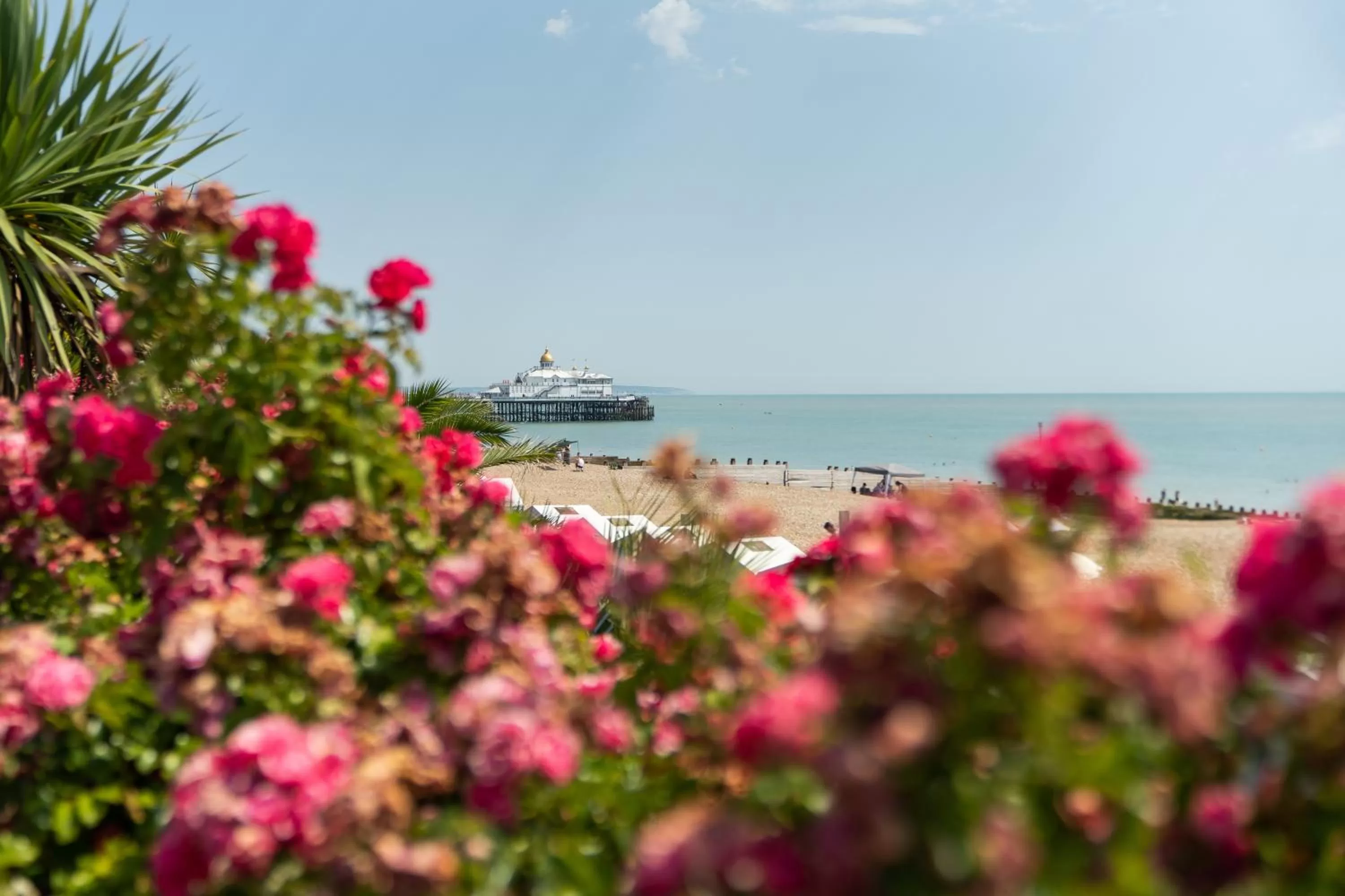 Natural landscape in The Lansdowne, Eastbourne