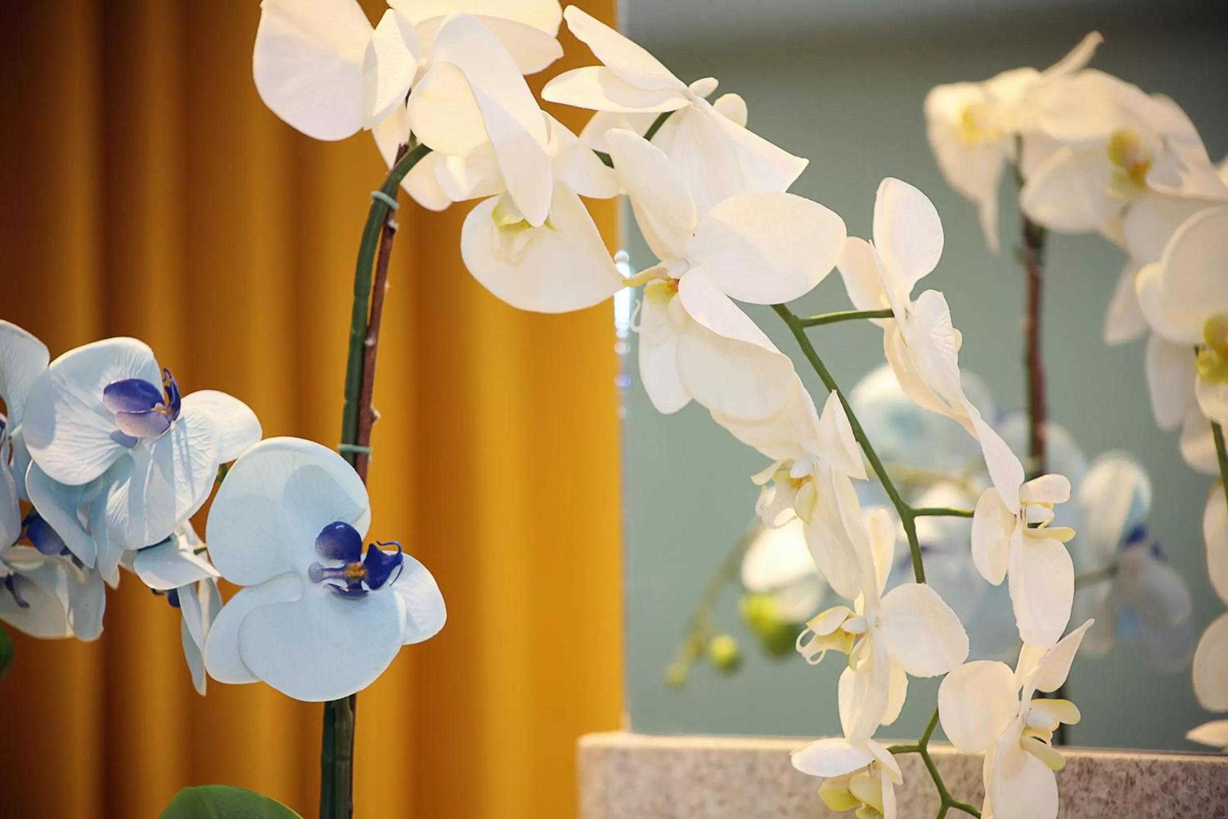 Decorative detail in Elegance Praia Hotel