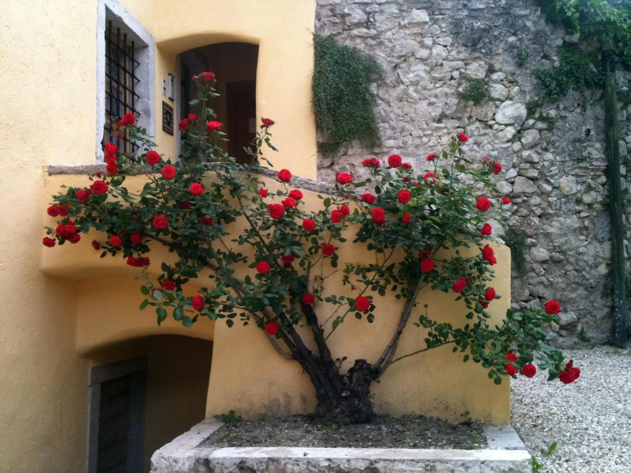 Facade/entrance in Relais Palazzo Lodron