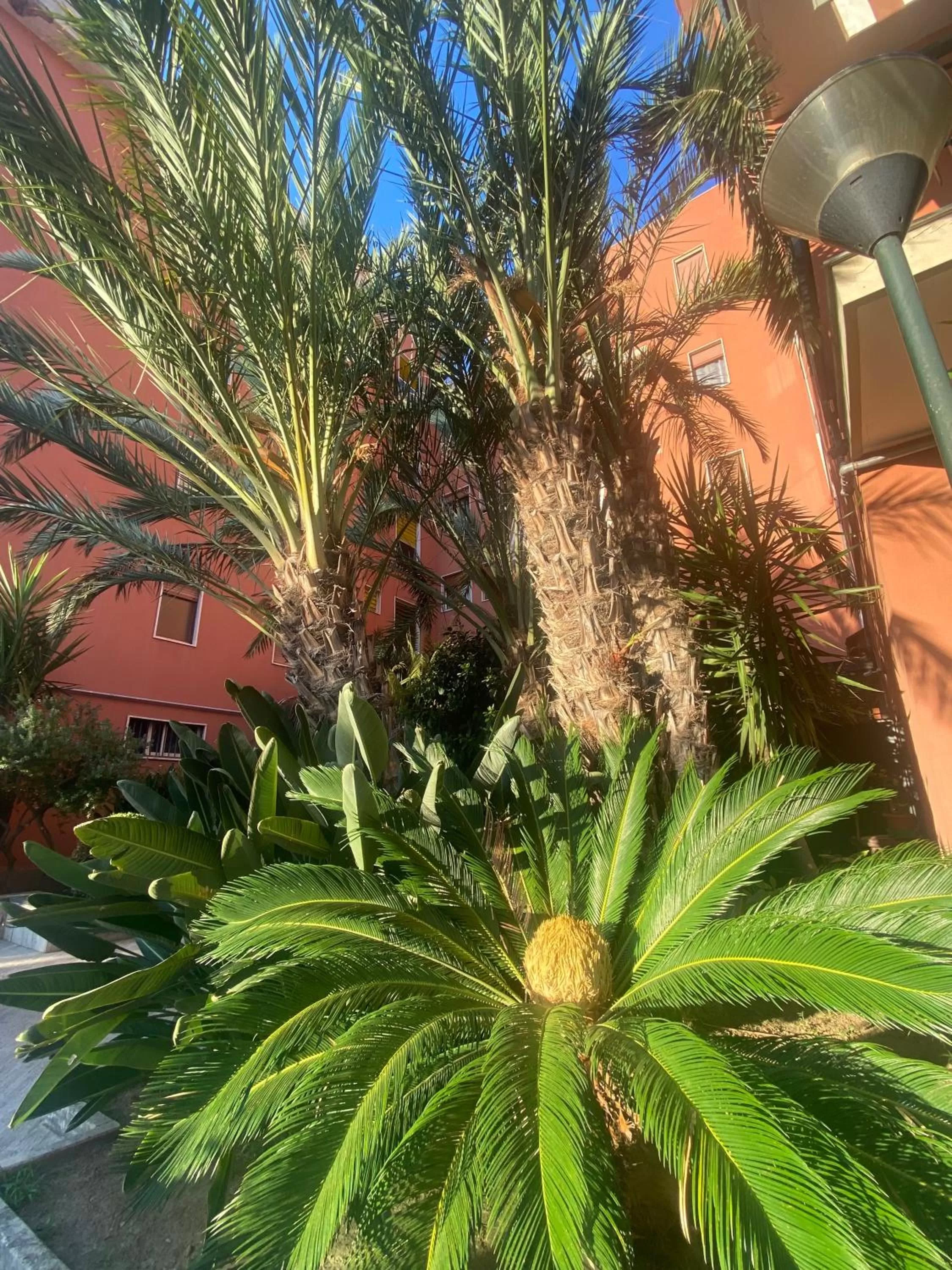 Property building, Garden in Sorrento B&amp;D Rooms