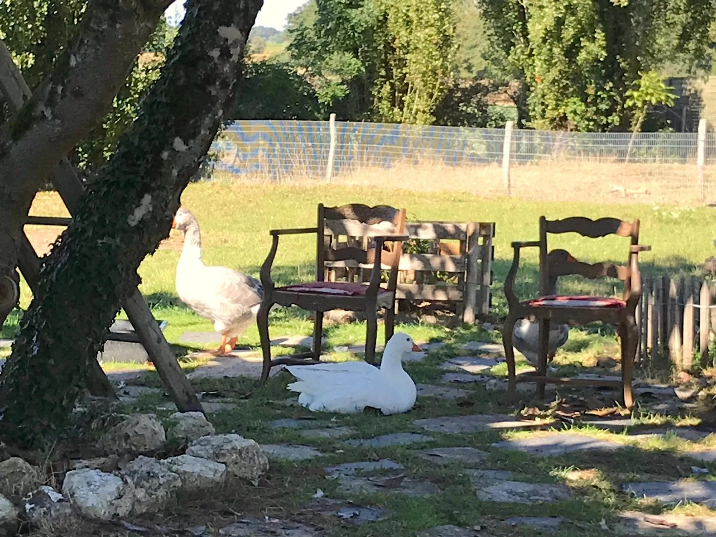 Chez Gustave & Compagnie