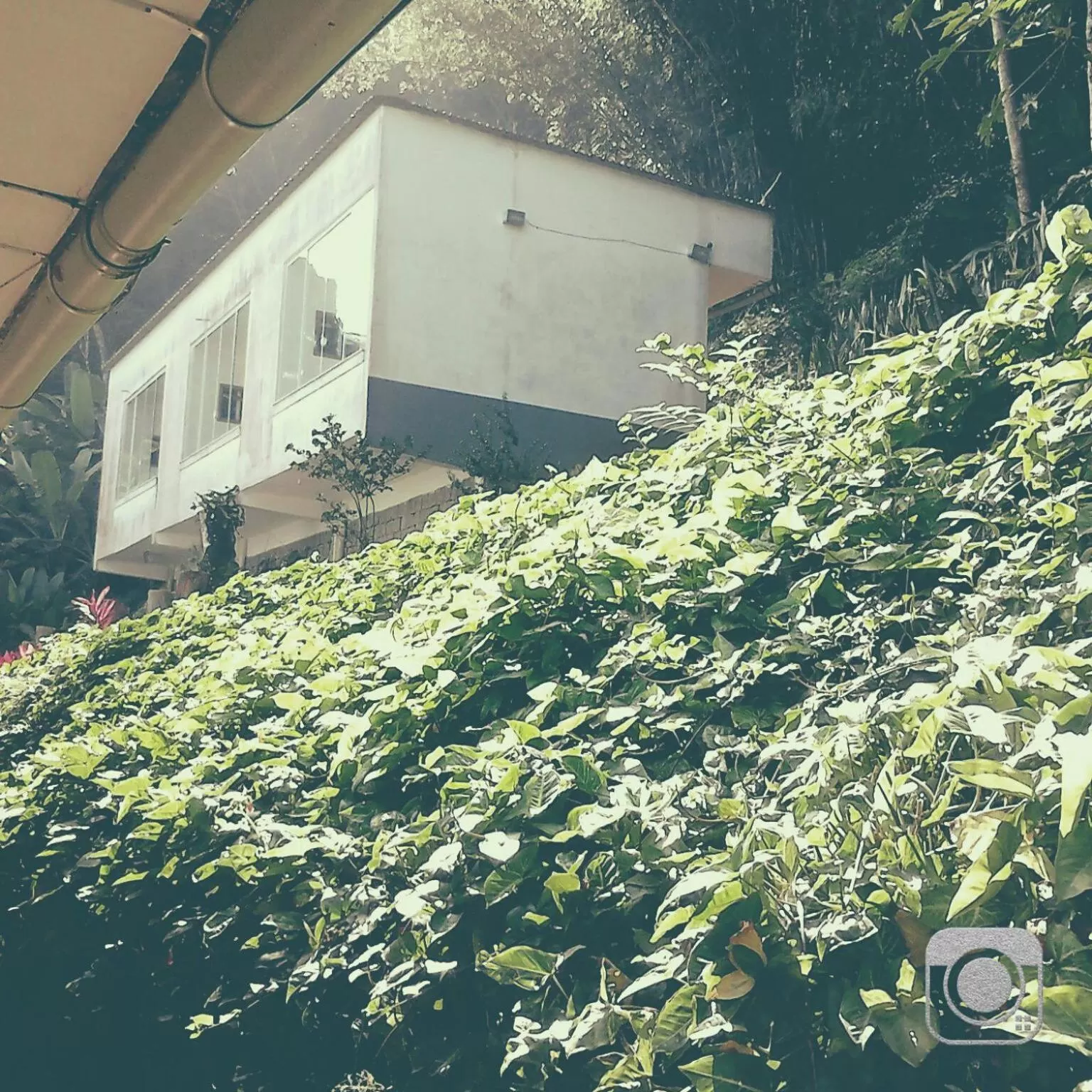 Natural landscape in Pousada Piquara