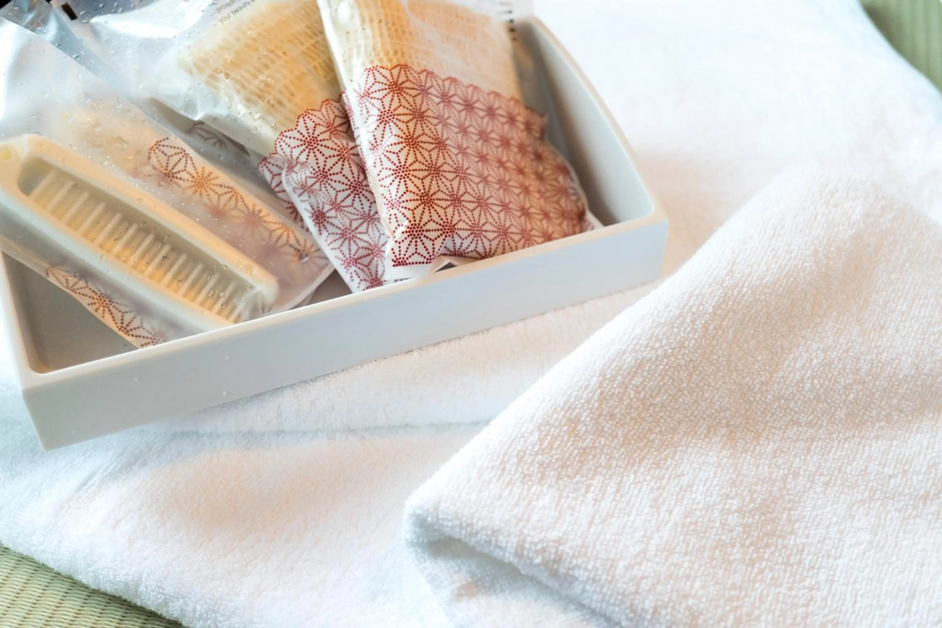 Photo of the whole room in Imano Tokyo Ginza Hostel