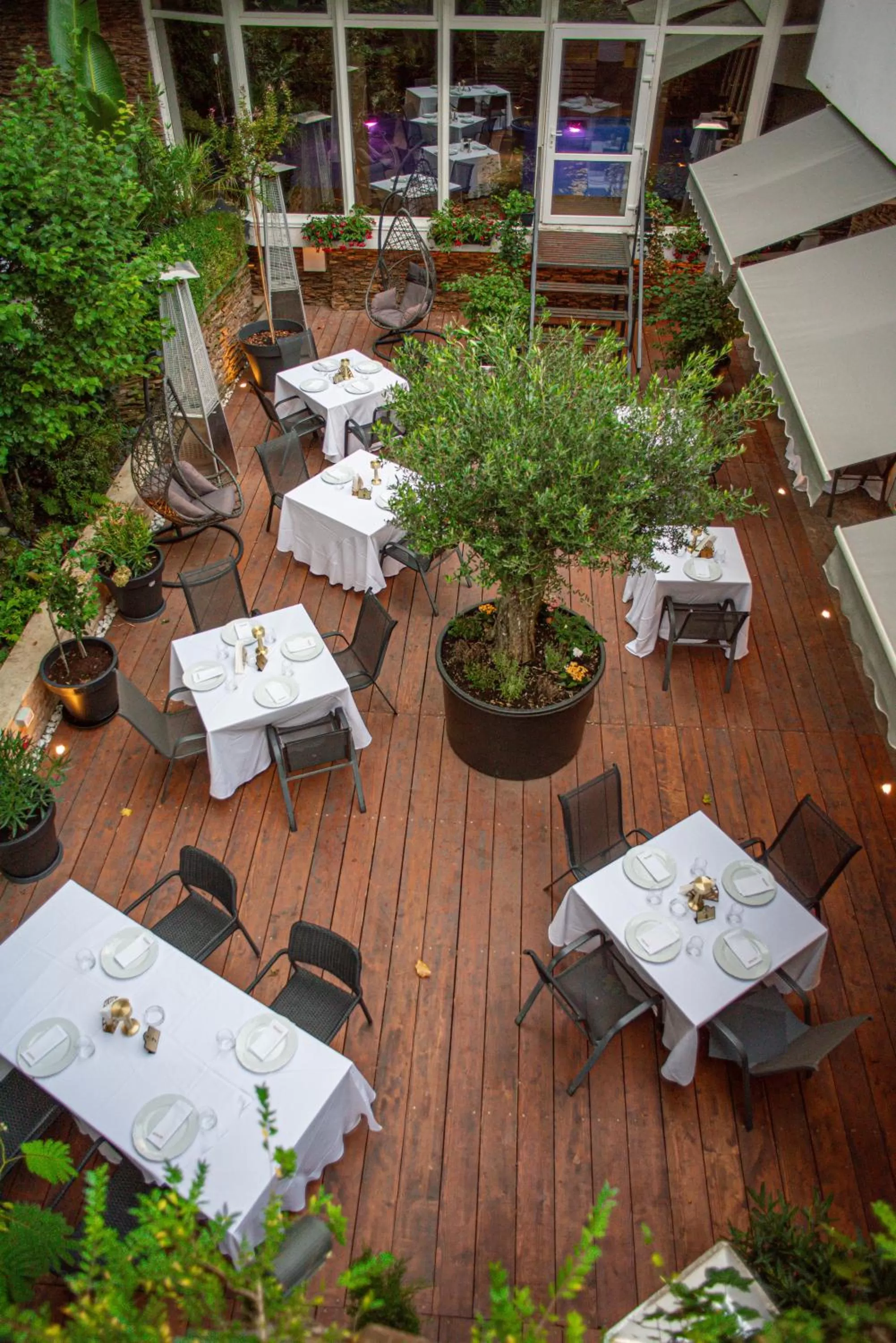 Garden in Hotel Carpathia