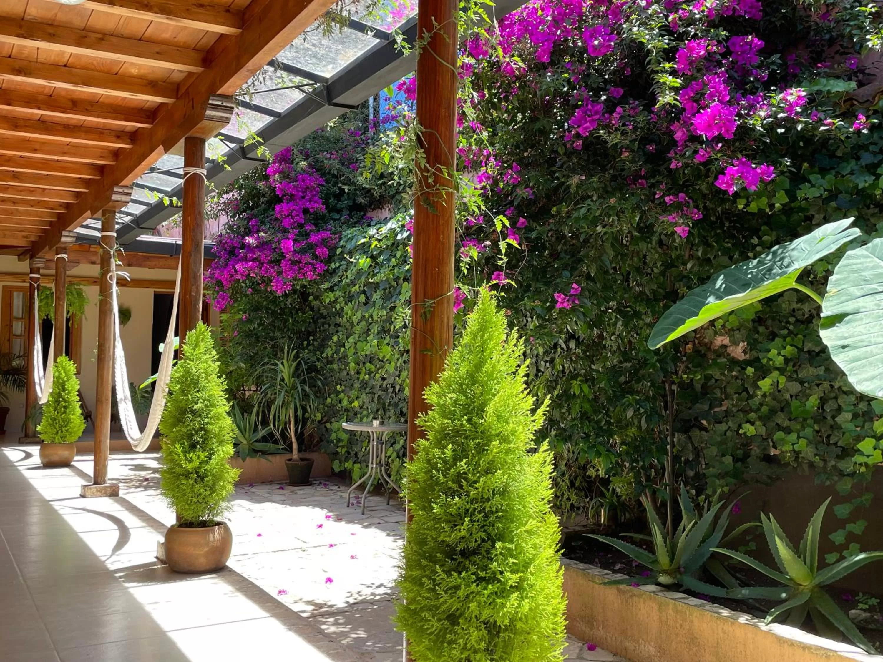 Patio in Hotel Casa Azabache